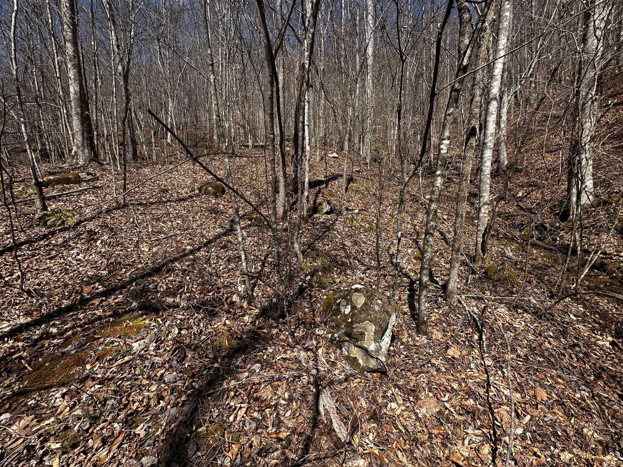 Dewitt, KY 40930,9999 Hales Fork Road