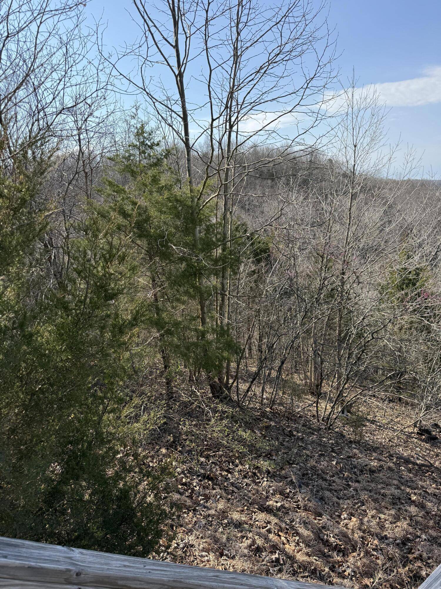 Russell Springs, KY 42642,Lots 14-15 Peach Tree Lane