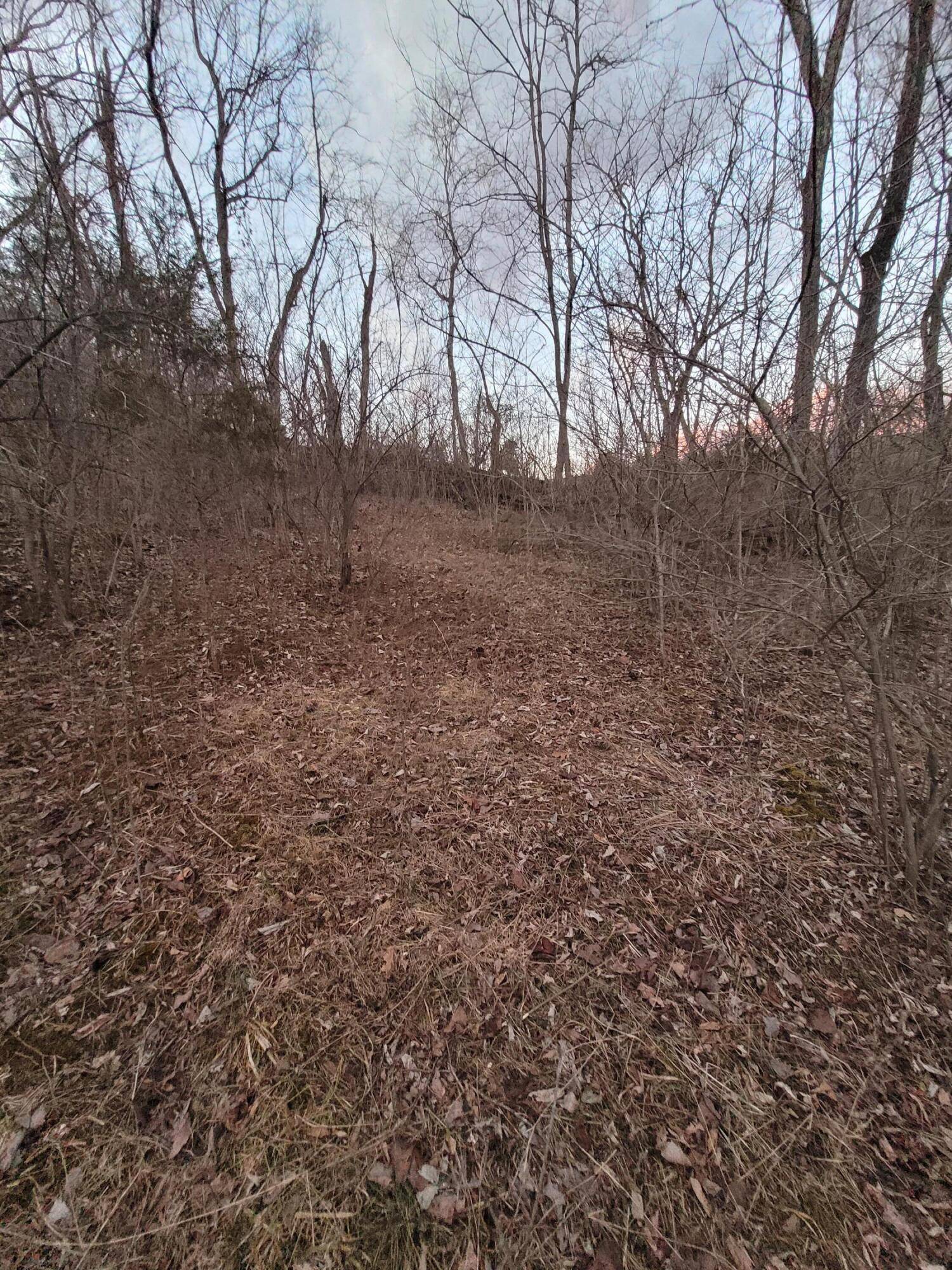 Corinth, KY 41010,5-1 Lots11, 13, 15