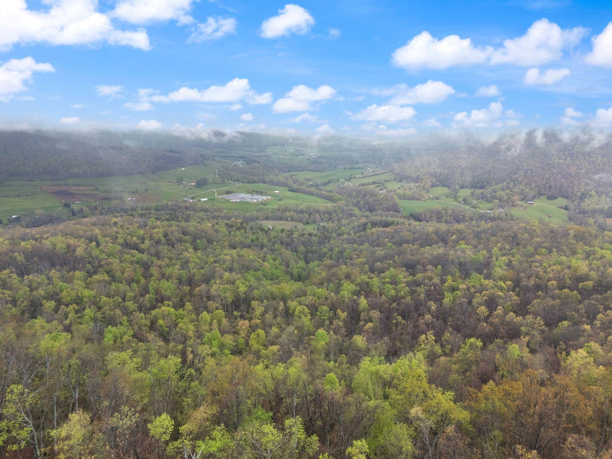 Monticello, KY 42633,110051 200 Highway
