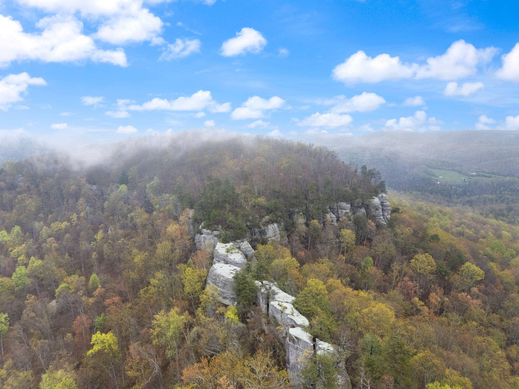 Monticello, KY 42633,110051 200 Highway