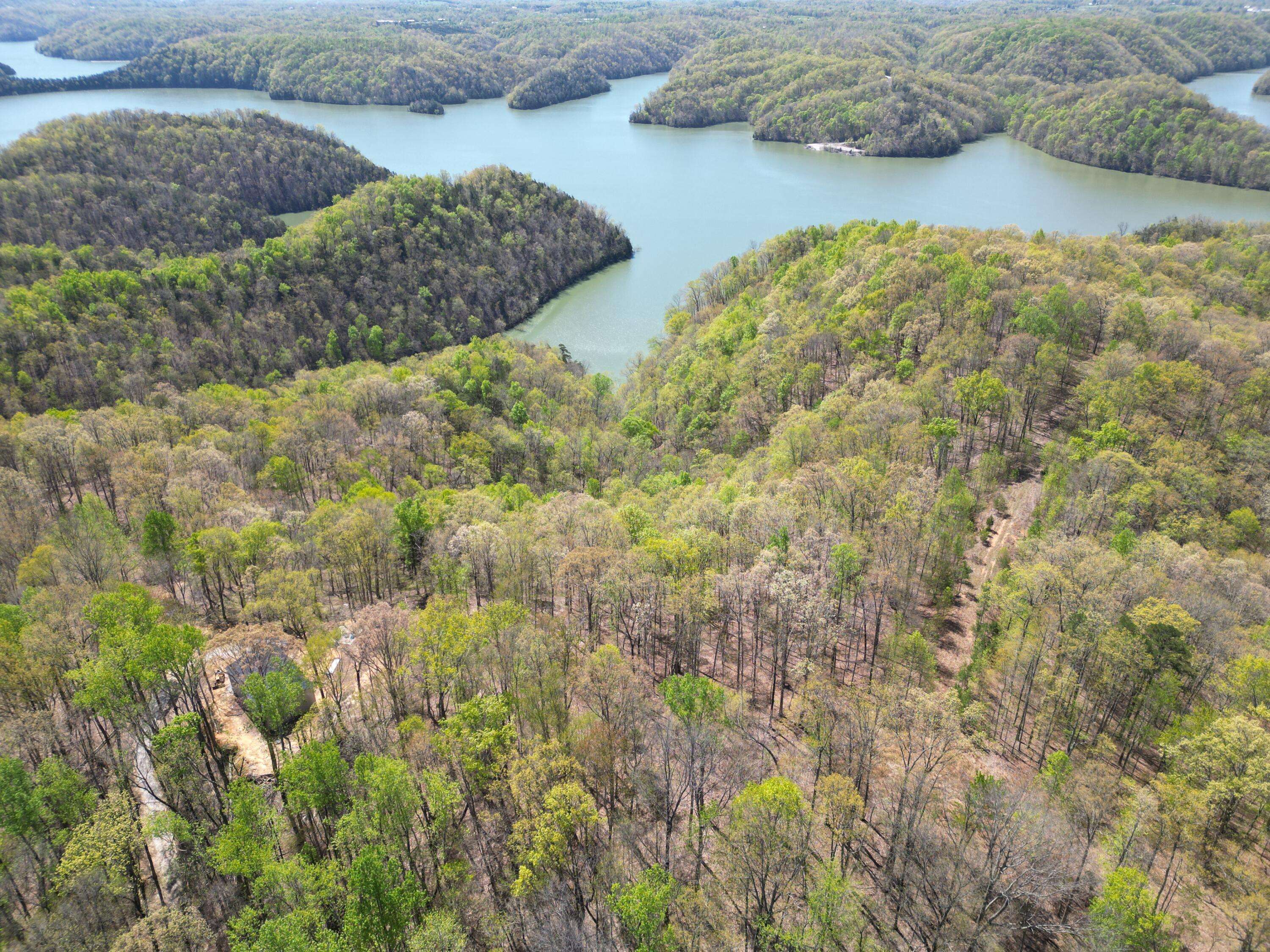 Monticello, KY 42633,Lot 128 Sandstone Point