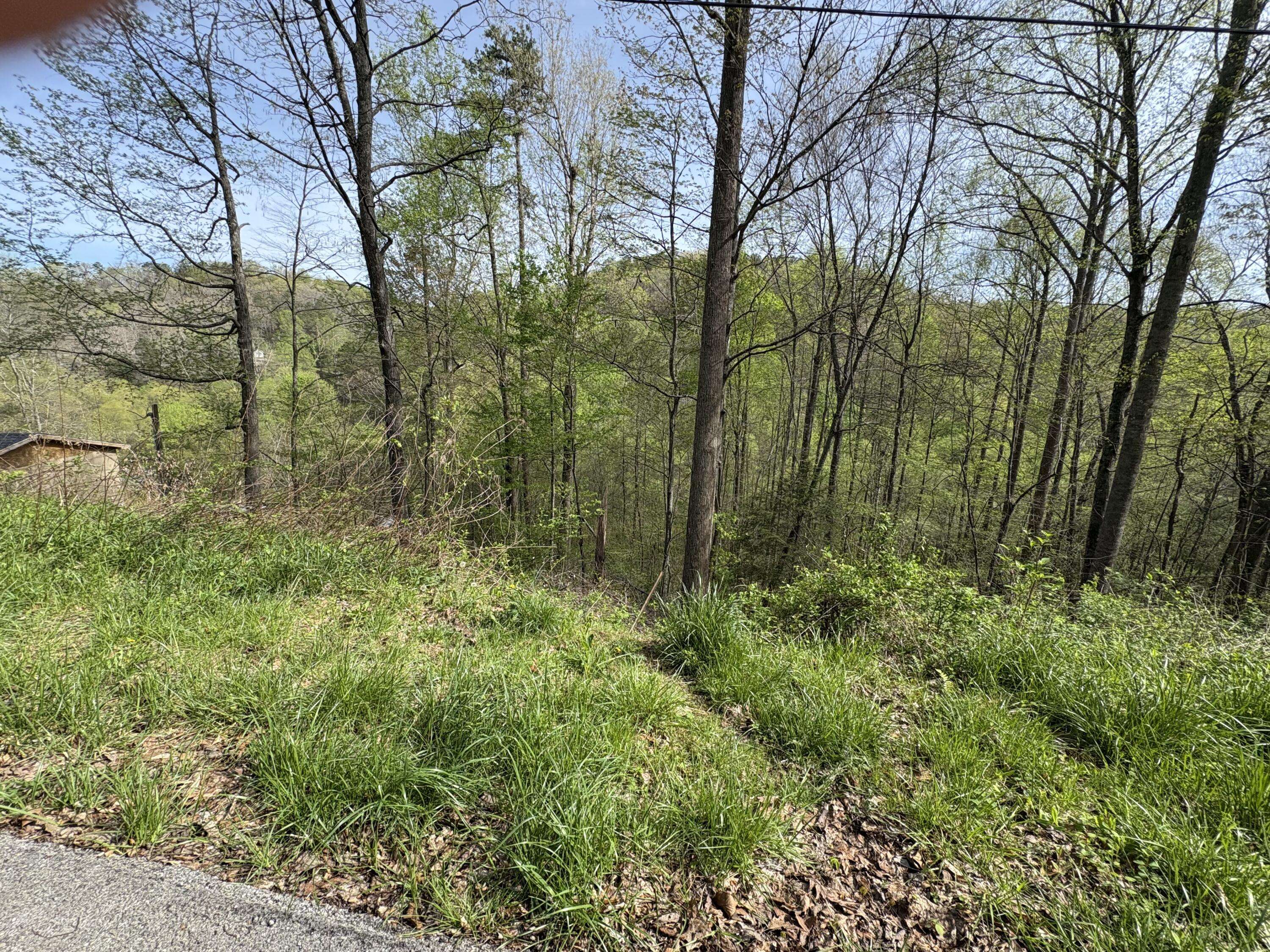 London, KY 40741,lot 17,bl1 Fisherman's Cove Road