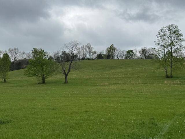 Mt Olivet, KY 41064,0 MCconnell Road