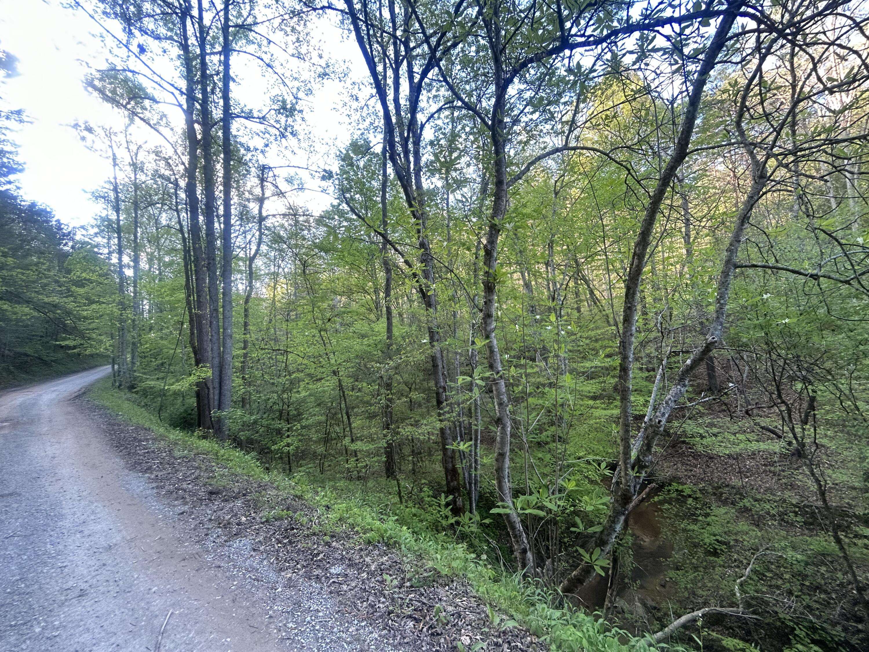 Manchester, KY 40962,9999 Saddler Road