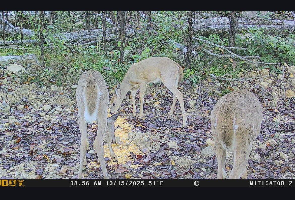 Somerset, KY 42501,1820 Sulphur Springs Hollow Road