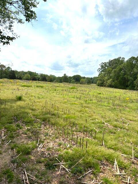 Jamestown, KY 42629,1 Nelson Mill Road