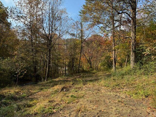 Baxter, KY 40806,60 Conley Loop