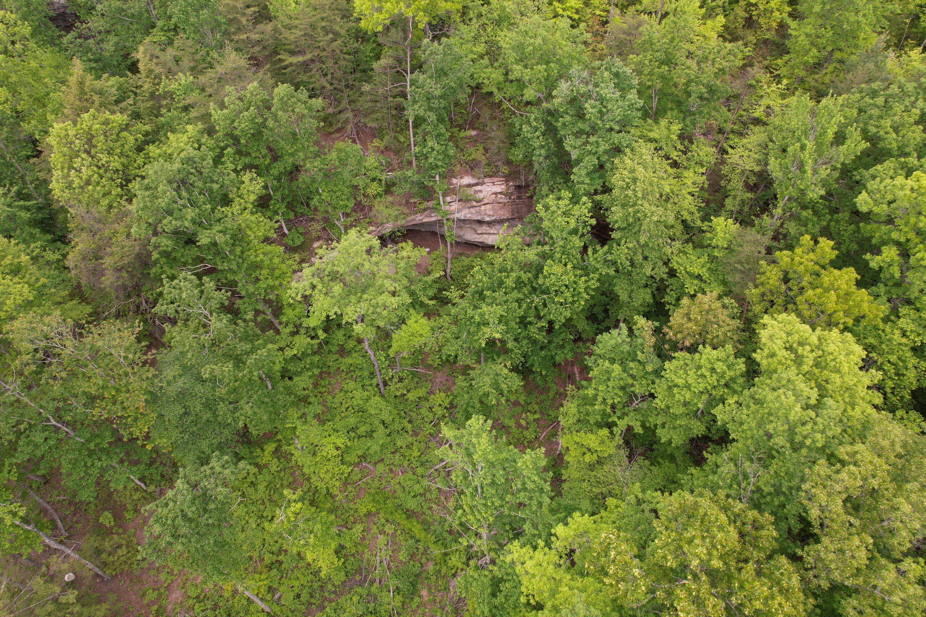 Stearns, KY 42647,0 1363