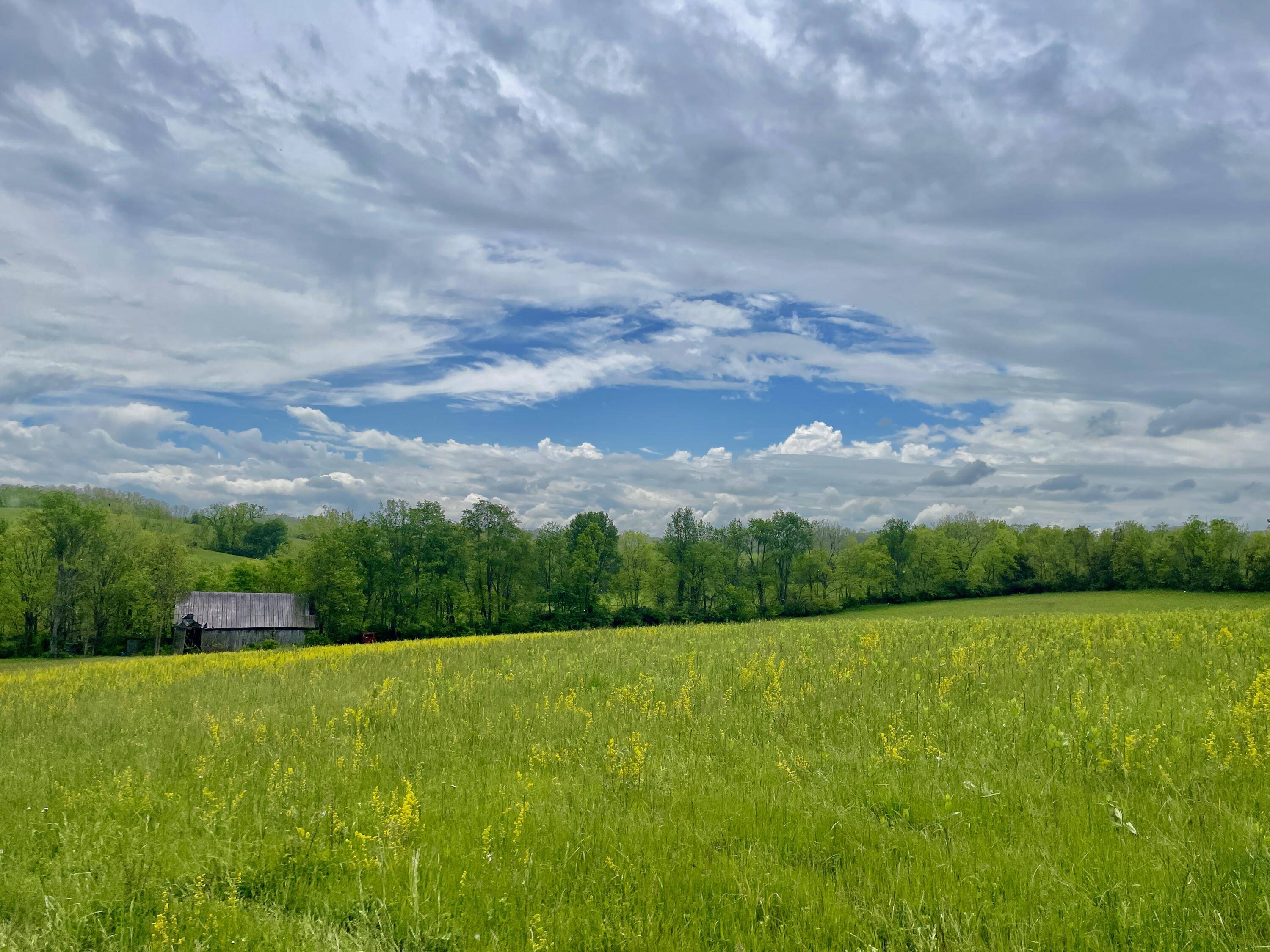 Paris, KY 40361,1038 Levy Road