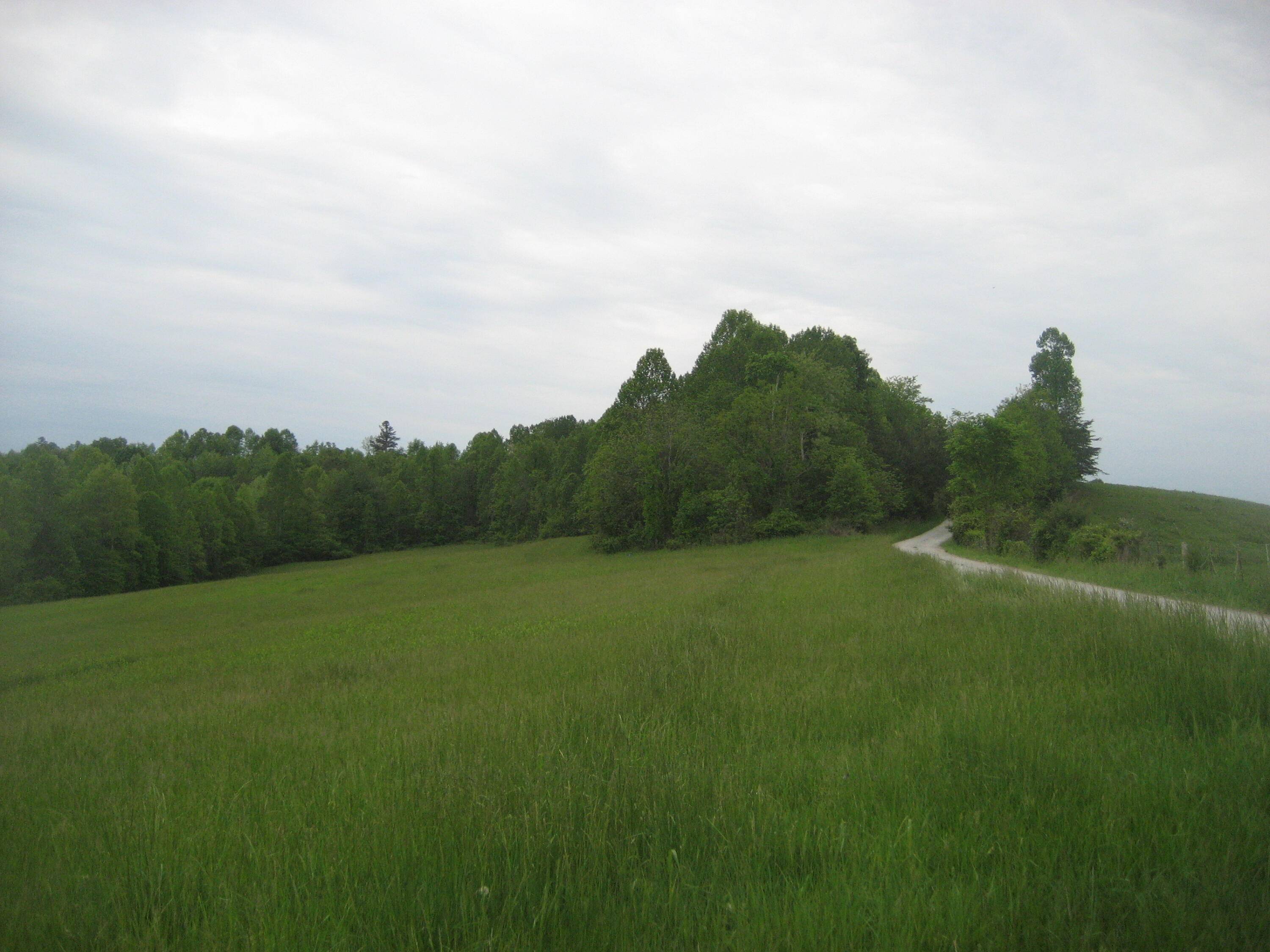 Olive Hill, KY 41164,001 Buckler Lane