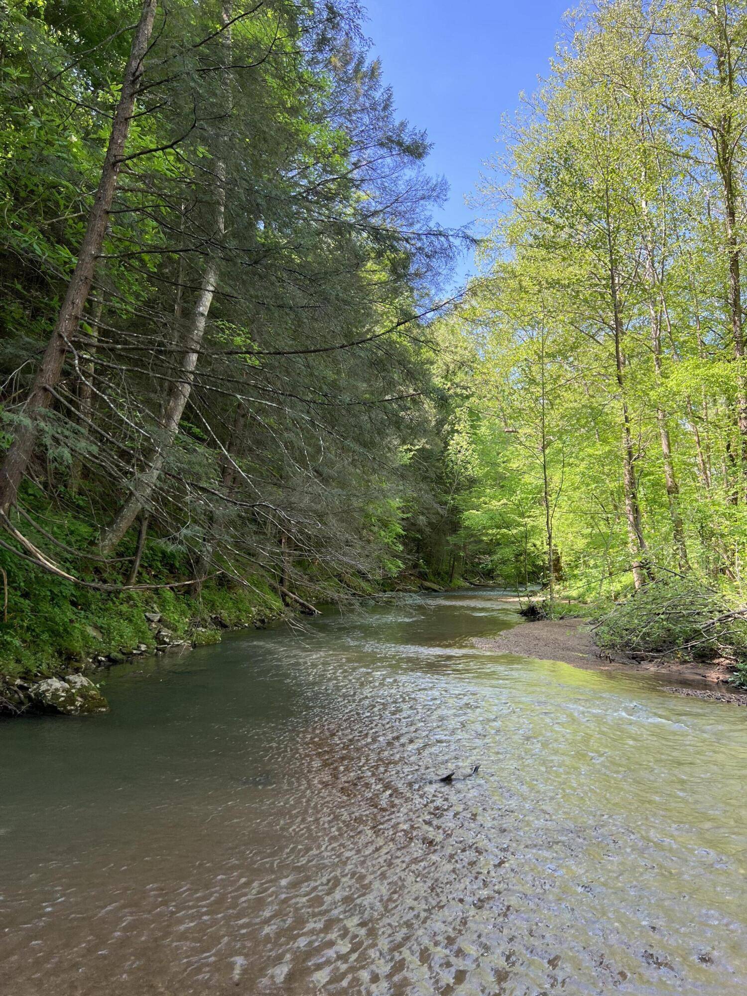Mckee, KY 40447,0 Tark Hill Rd