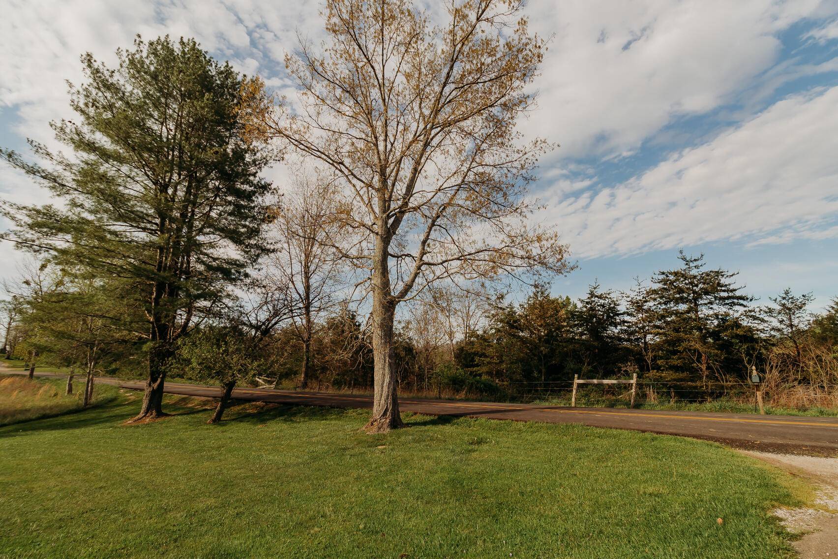 Wellington, KY 40387,6177 KY 746