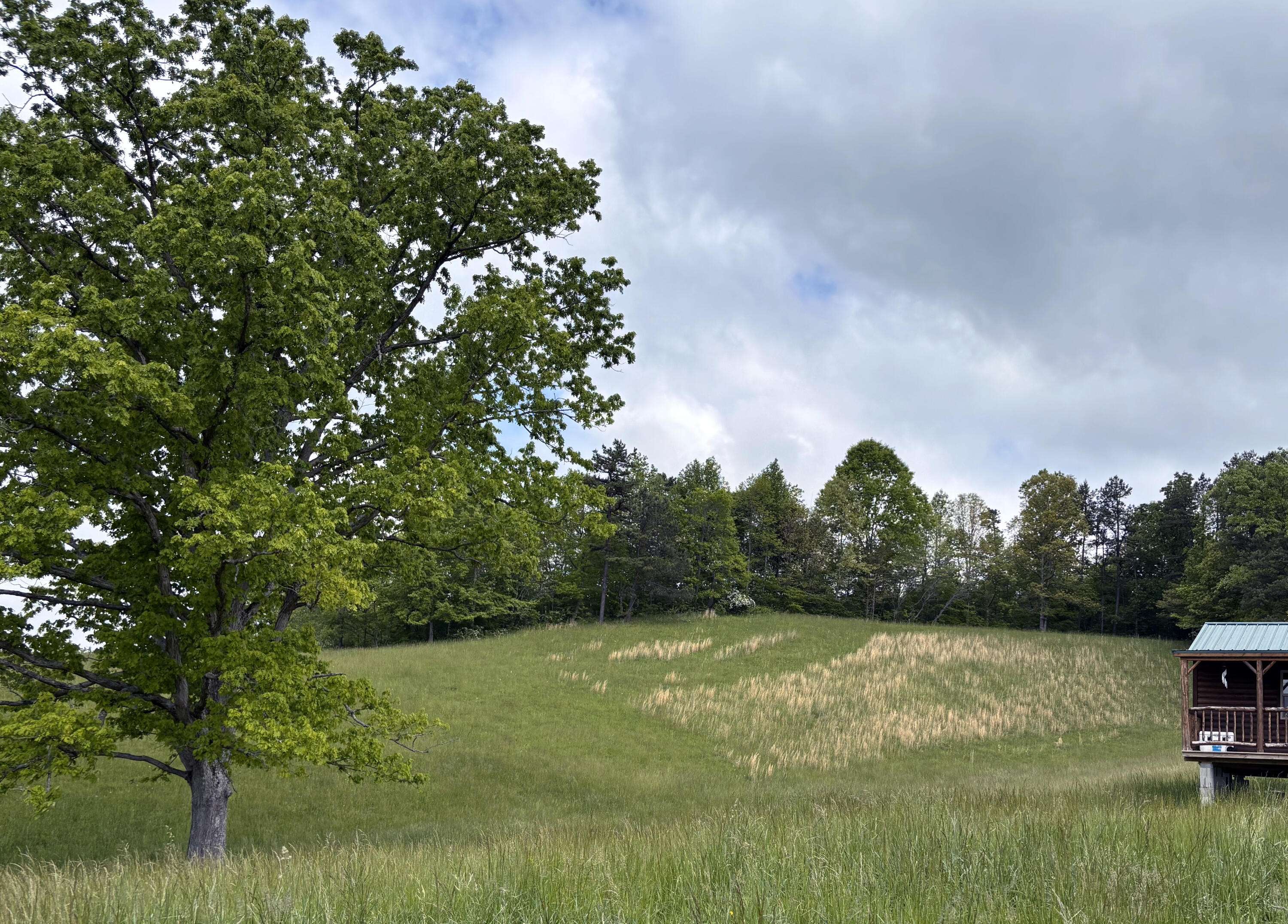 Tyner, KY 40486,210 Sunset View Road