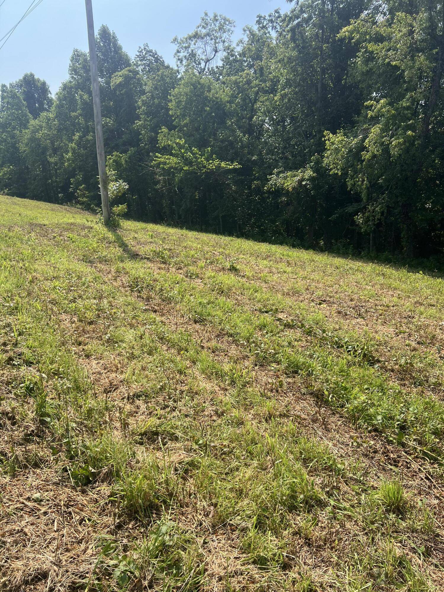 Mckee, KY 40447,9999 Highway 2004