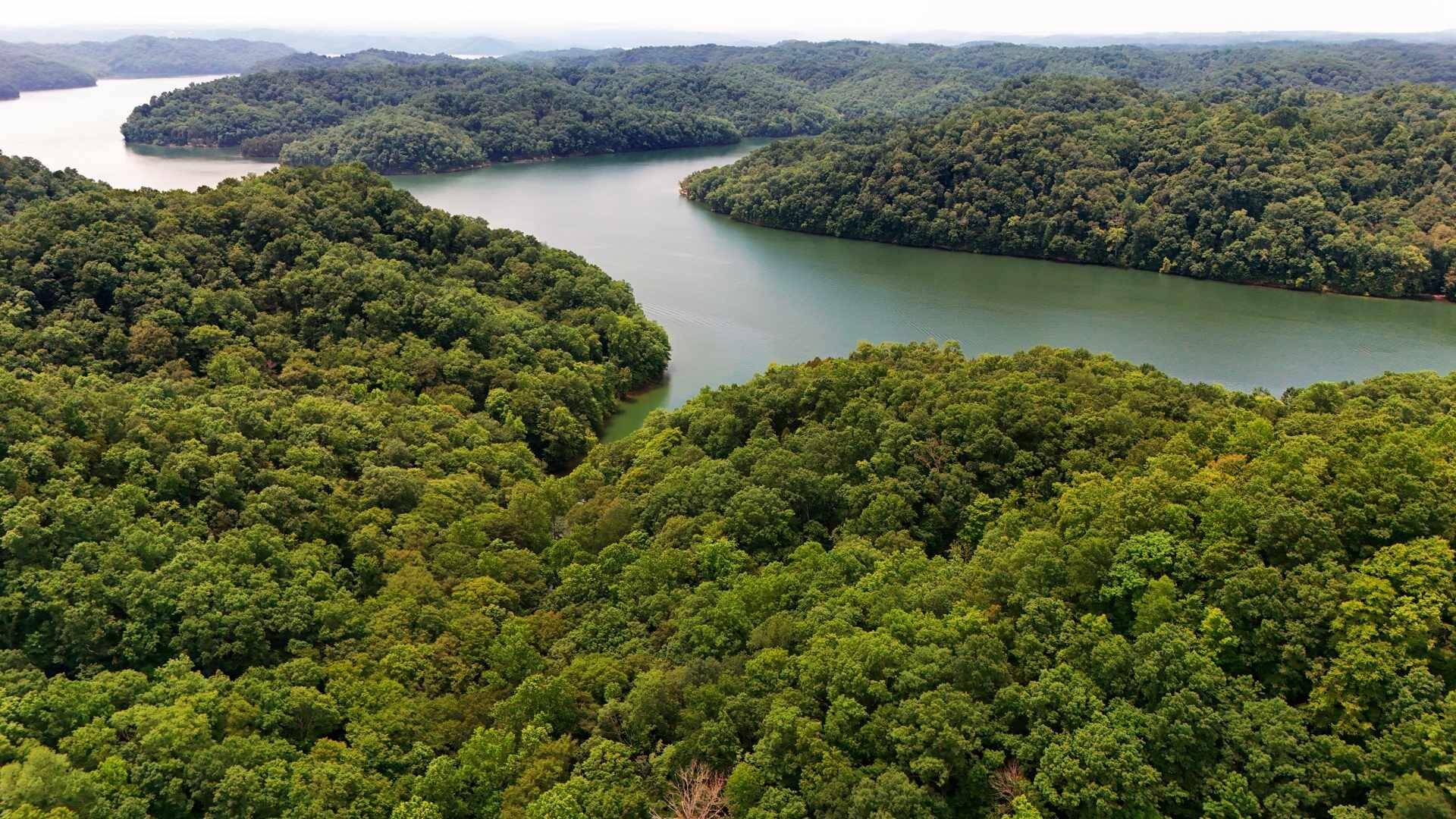 Burkesville, KY 42717,9999 Chestnut Hills Rd