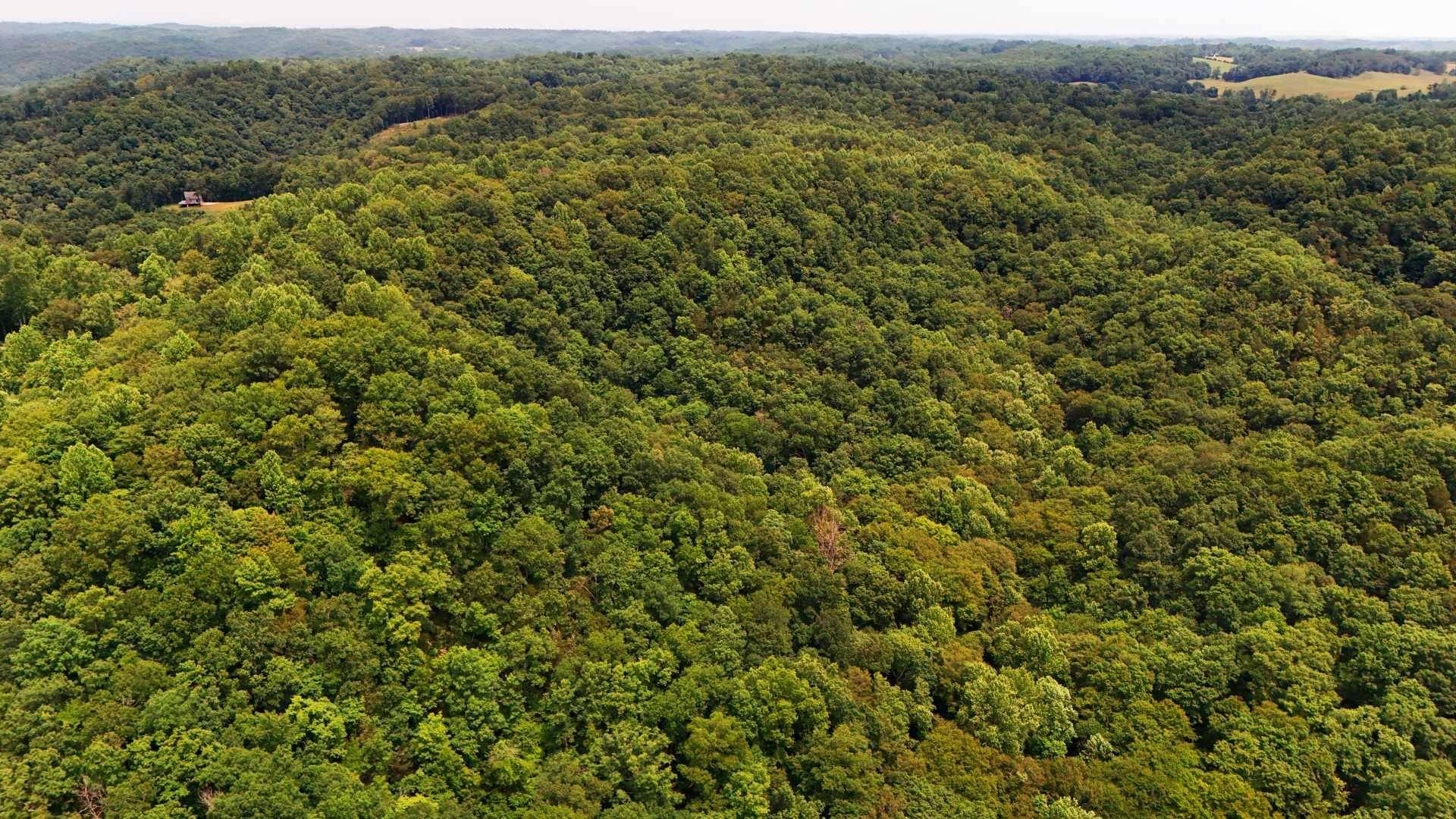 Burkesville, KY 42717,9999 Chestnut Hills Rd