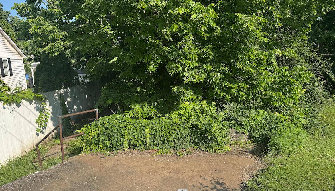 Lexington, KY 40508,318 Perry Street