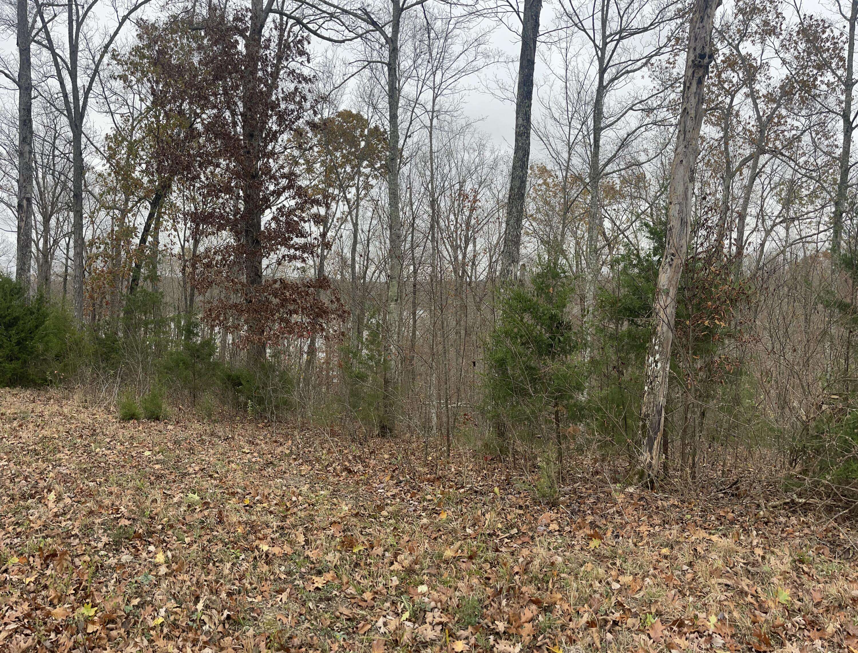 Monticello, KY 42633,Lot 28 Cumberland Shores
