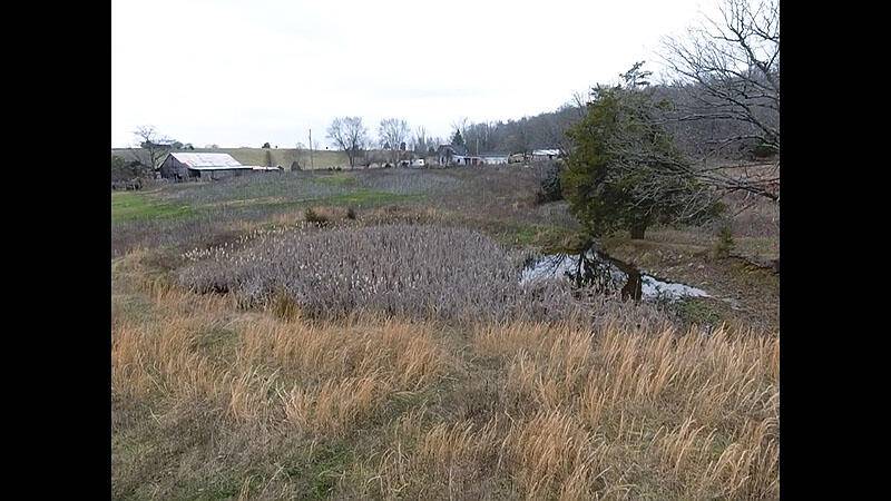 Nancy, KY 42544,1013 Richardson Road