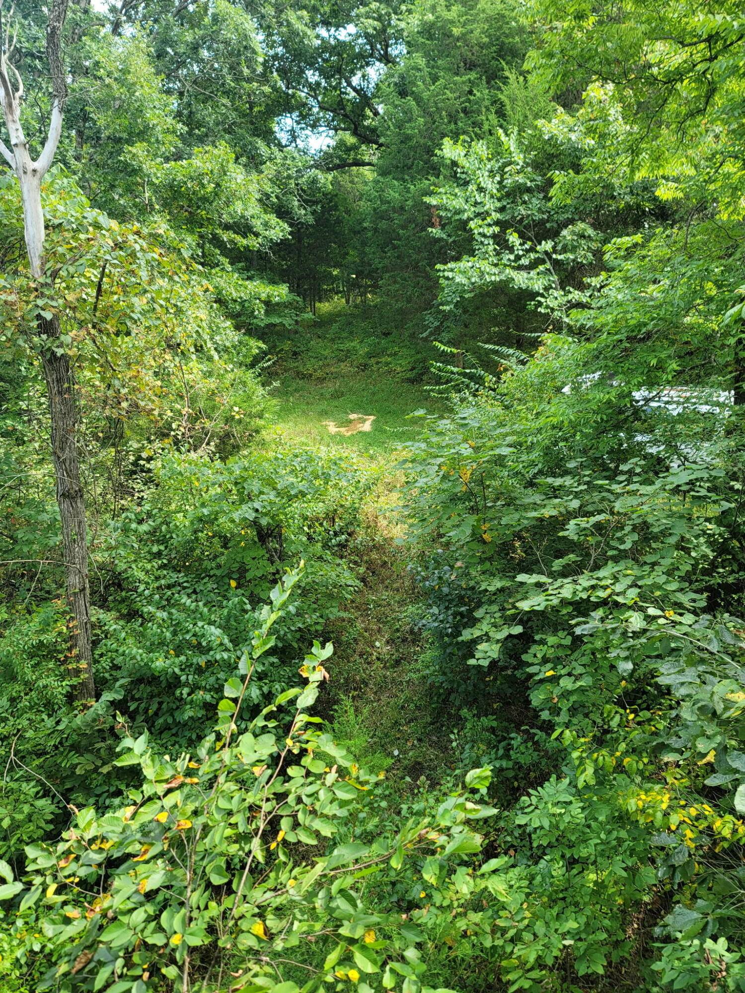 Carlisle, KY 40311,300 Goebel White Road