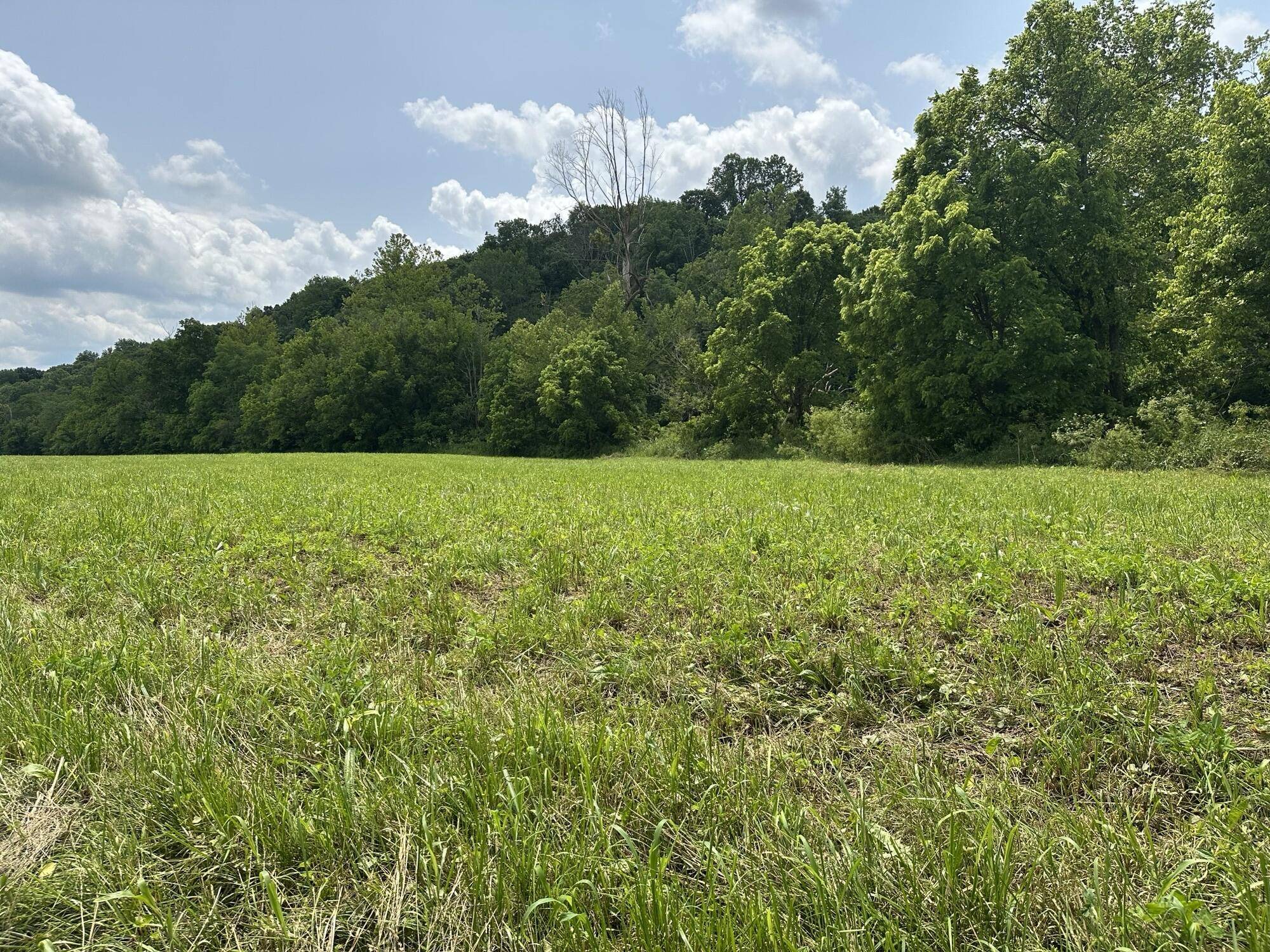 Paint Lick, KY 40461,Tract 3 Wallace Mill Road