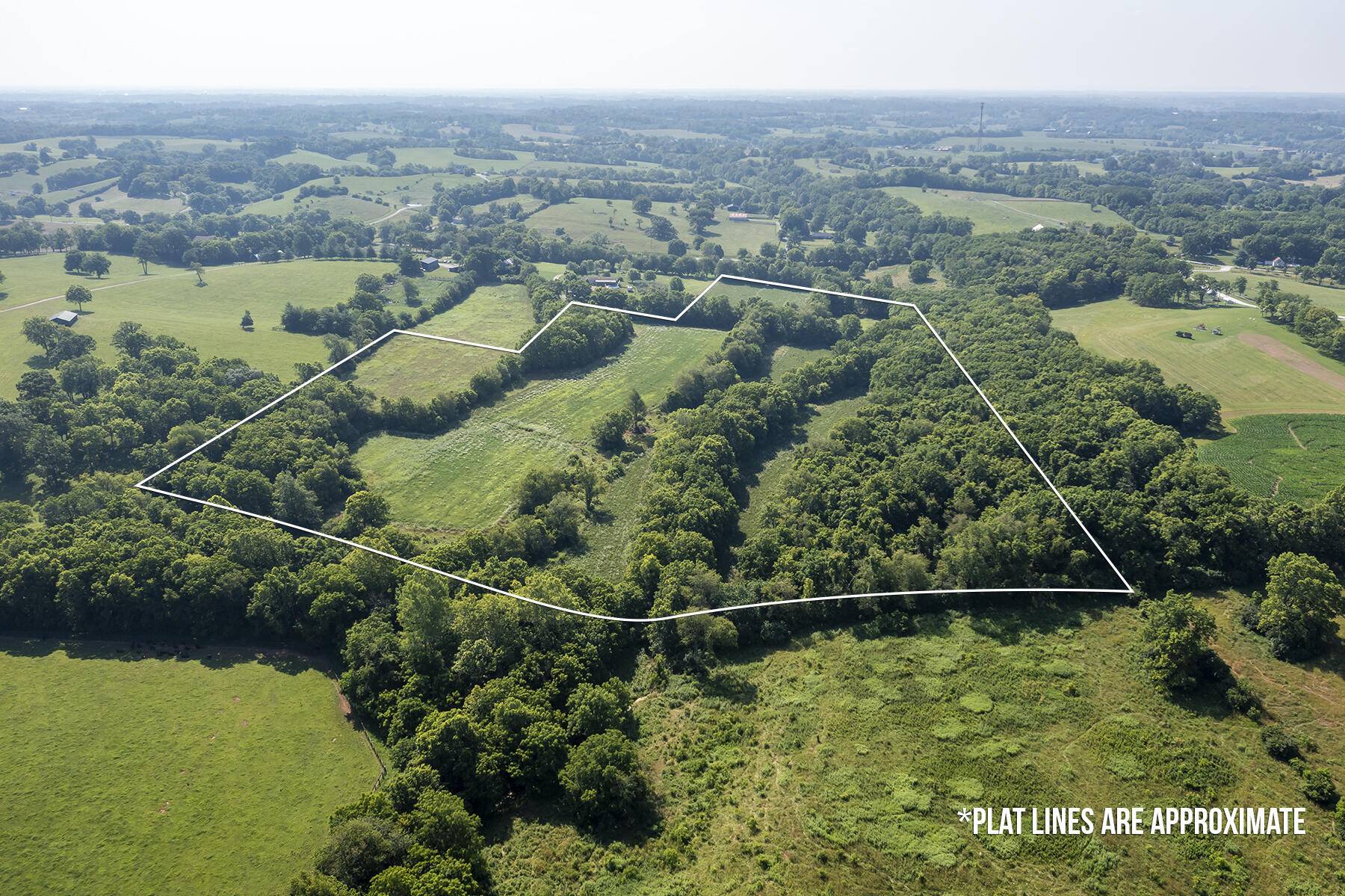 Paris, KY 40361,245 Levy Road