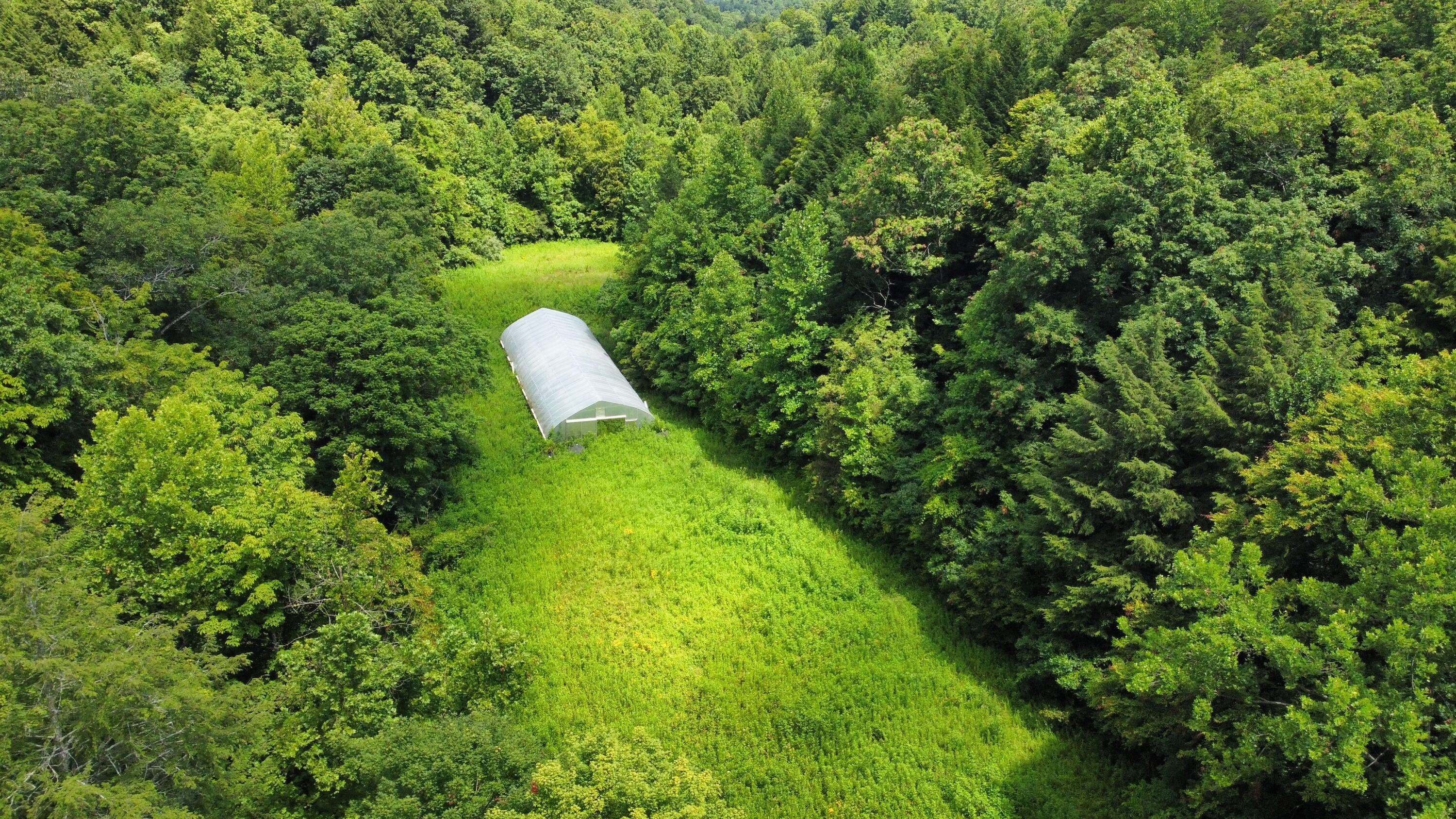 Beattyville, KY 41311,00 TBD Long Shoal Branch
