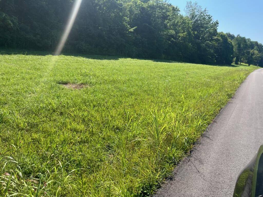 Burkesville, KY 42717,500 Little Renox Road