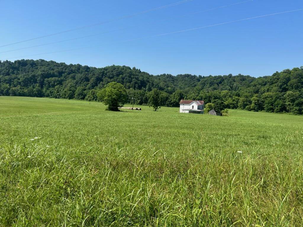 Burkesville, KY 42717,437 Little Renox Road