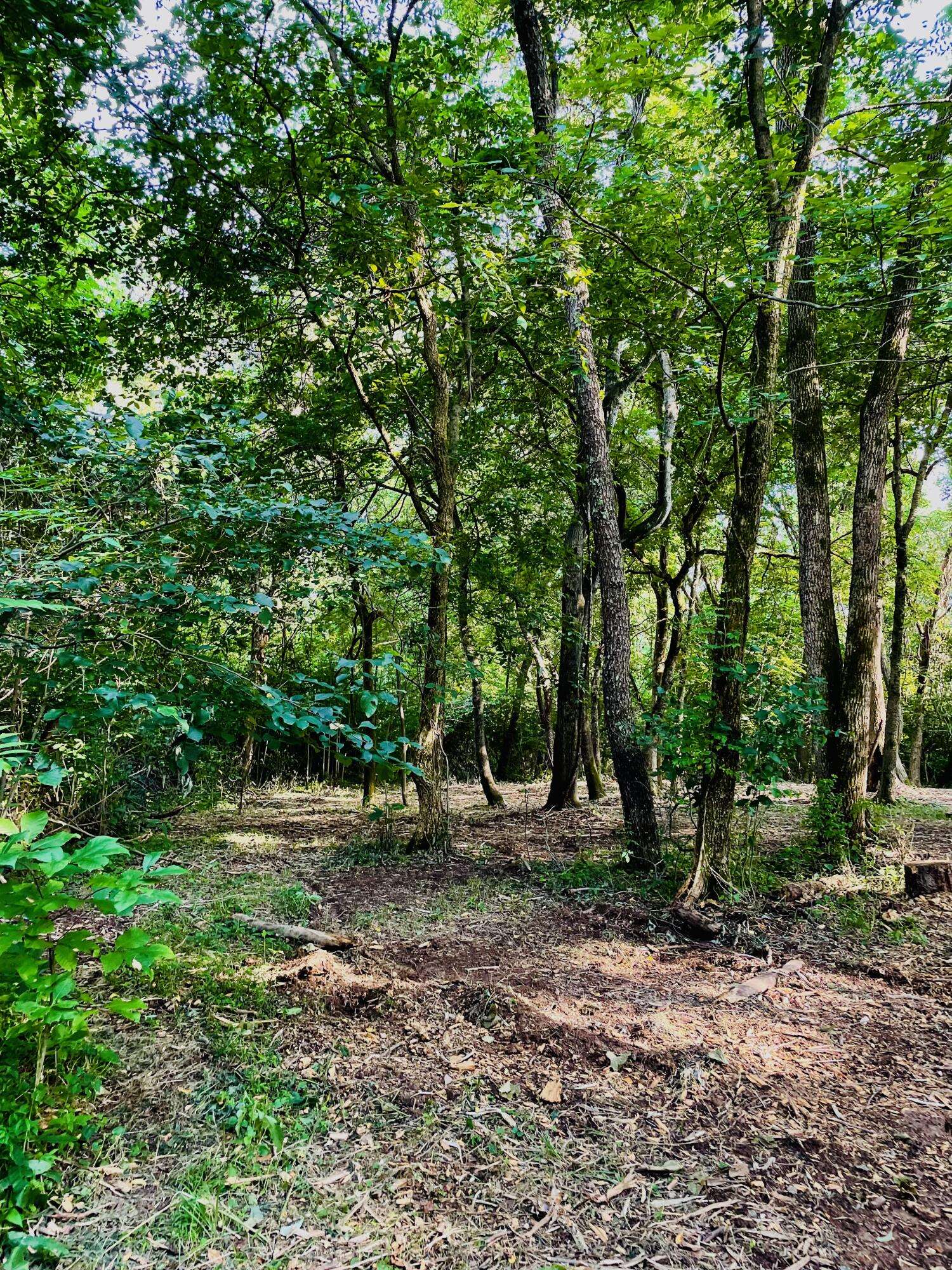 Burlington, KY 41005,4091 Akin Lane