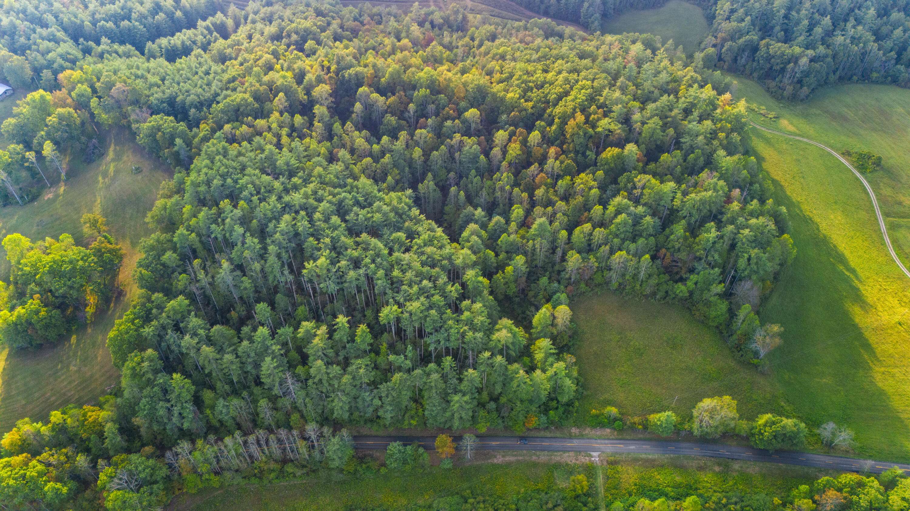 Campton, KY 41301,5531 KY-746