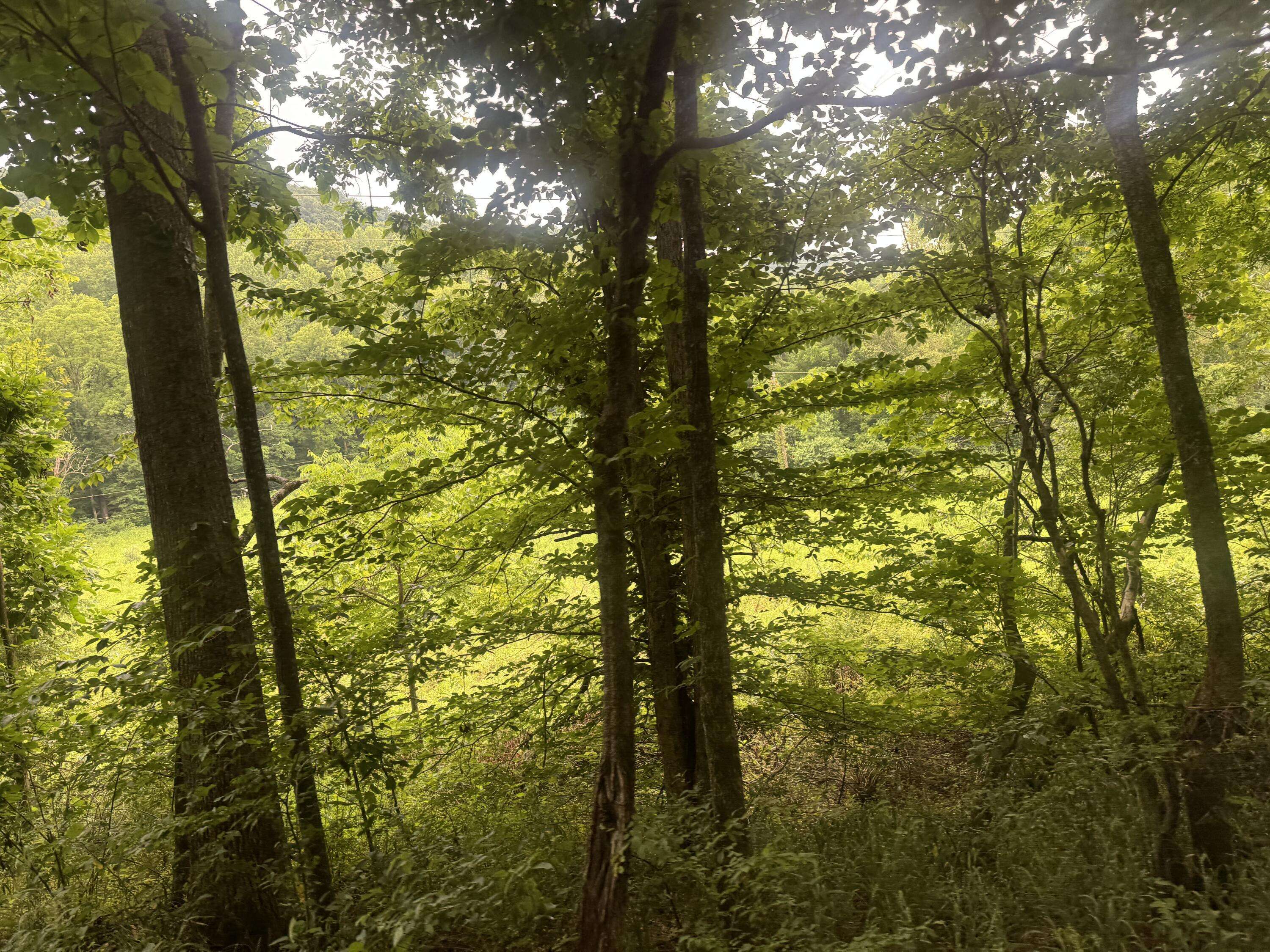 Somerset, KY 42501,500 Hail Bridge Road