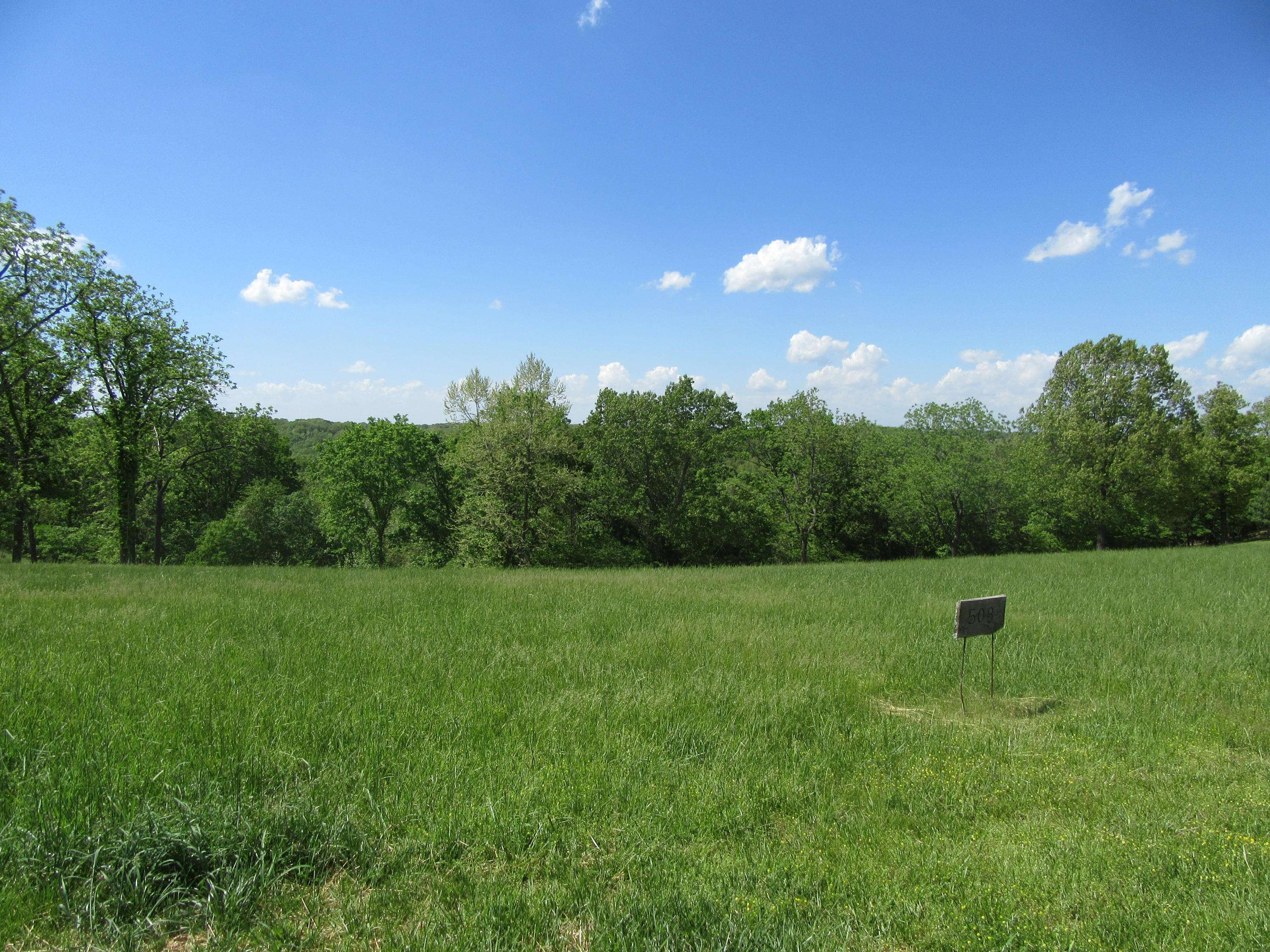 Saddlebrooke, MO 65630,Lot 508 Forest View