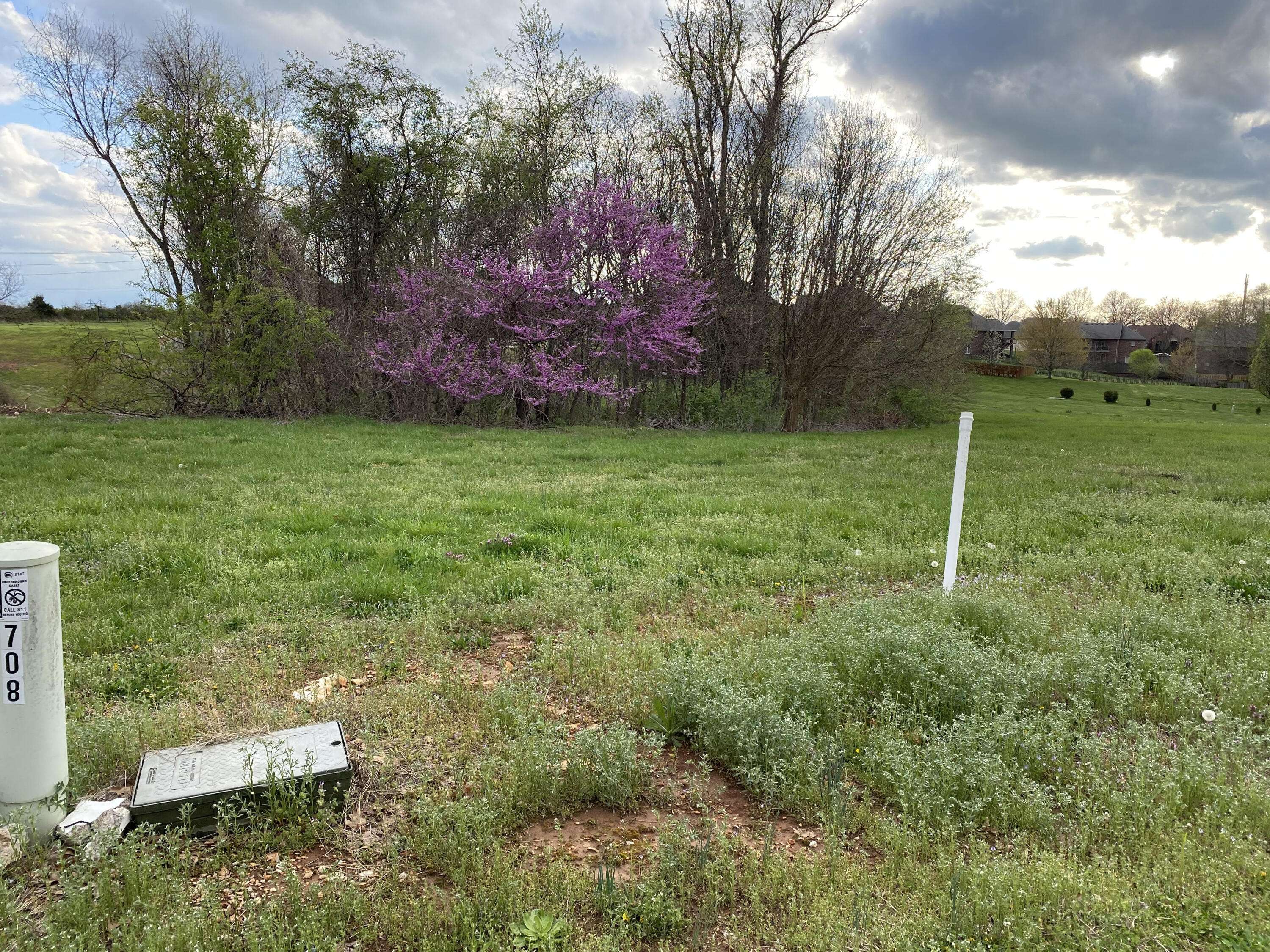 Nixa, MO 65714,Lot 24 Bentwater Phase 3