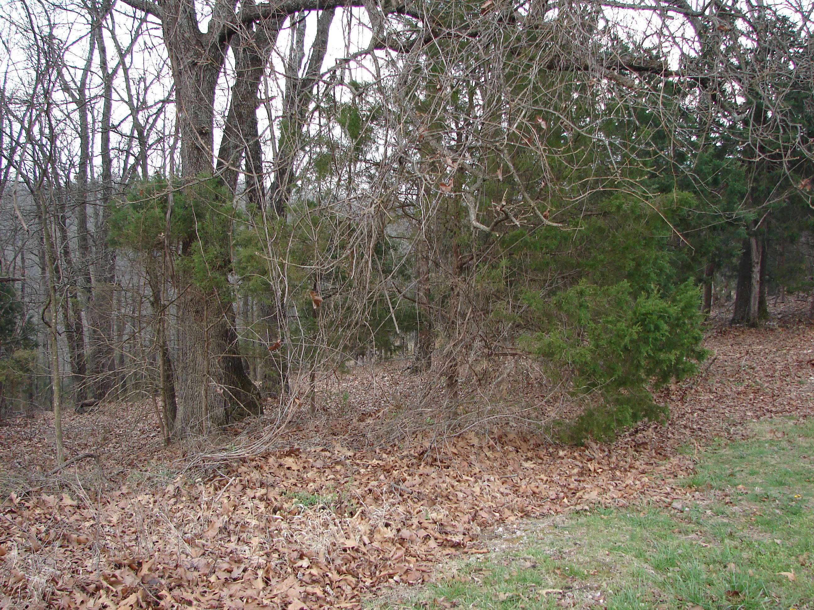 Branson West, MO 65737,Lot 3 Ridgeview Rd