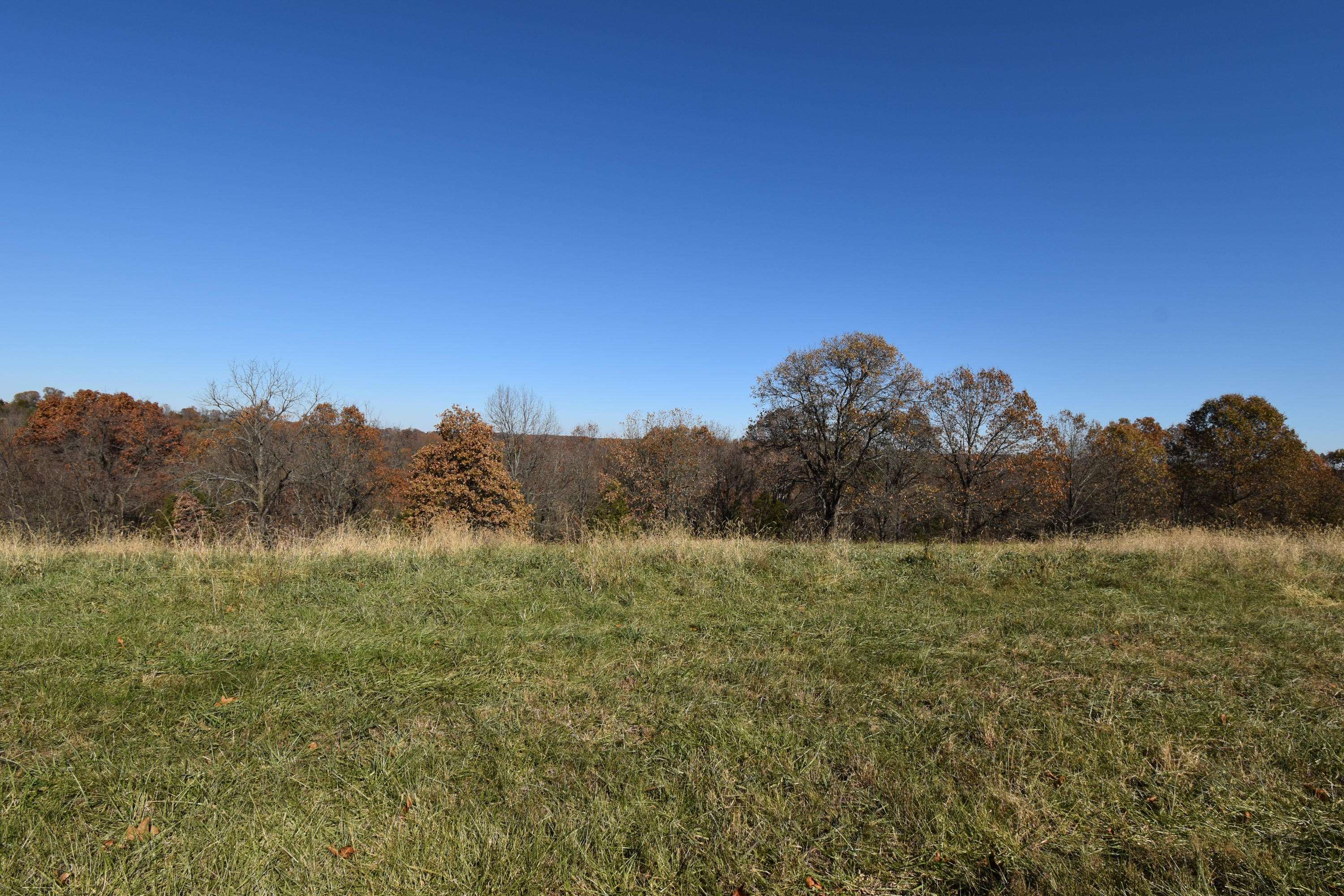 Cape Fair, MO 65624,Lot 186 Panorama DR