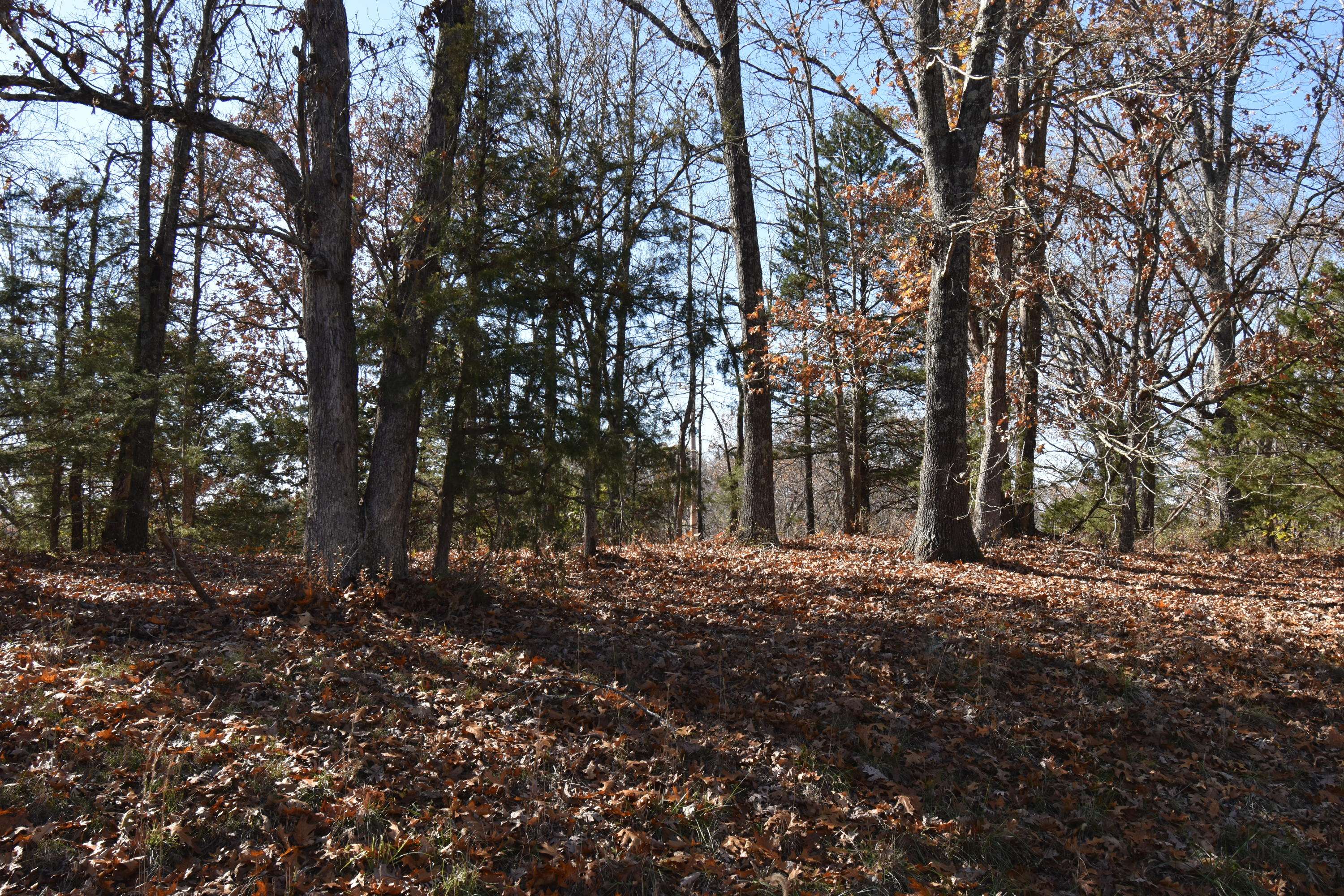 Cape Fair, MO 65624,Lot 69 Lost In Woods LN