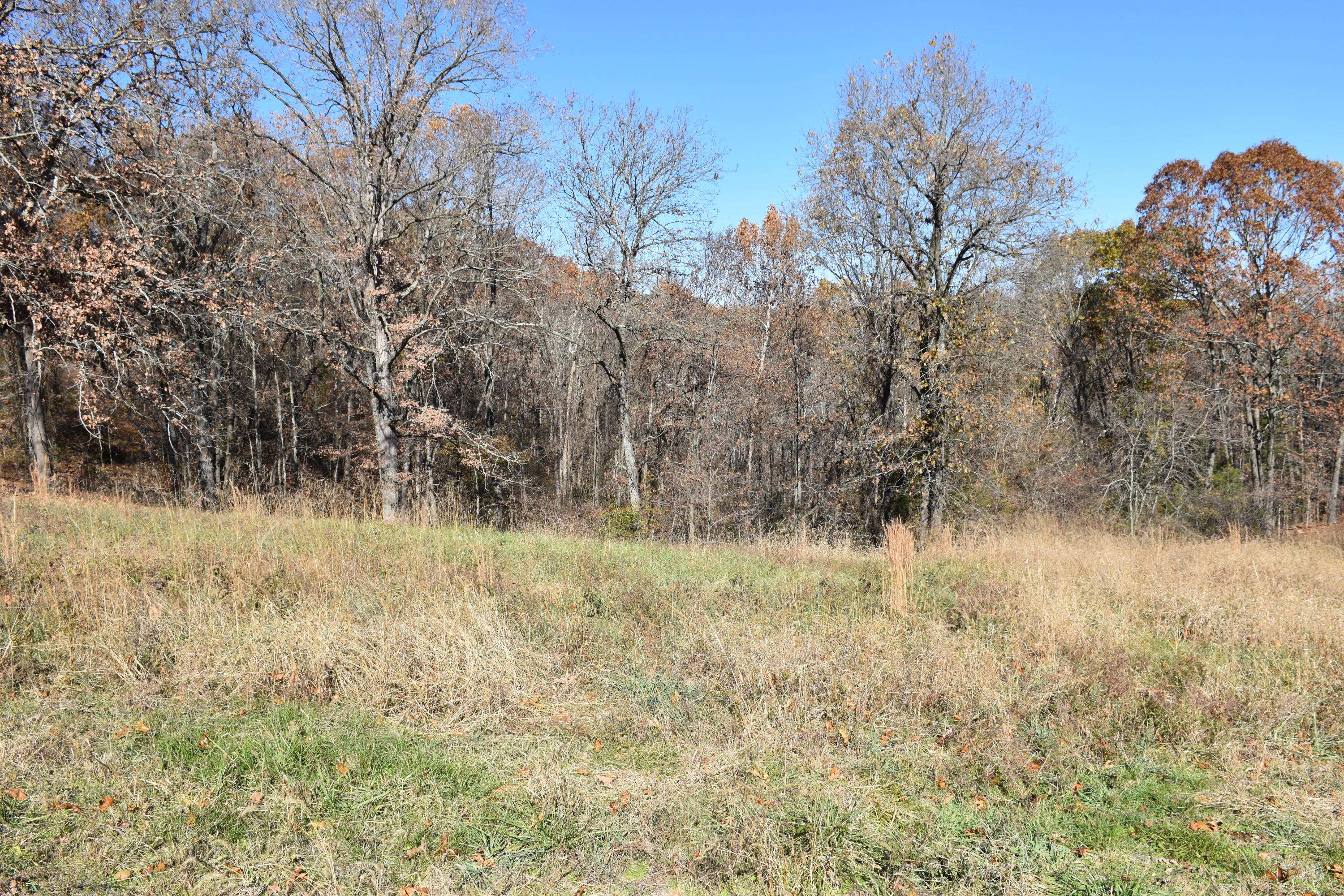 Cape Fair, MO 65624,Lot 194 Panorama DR