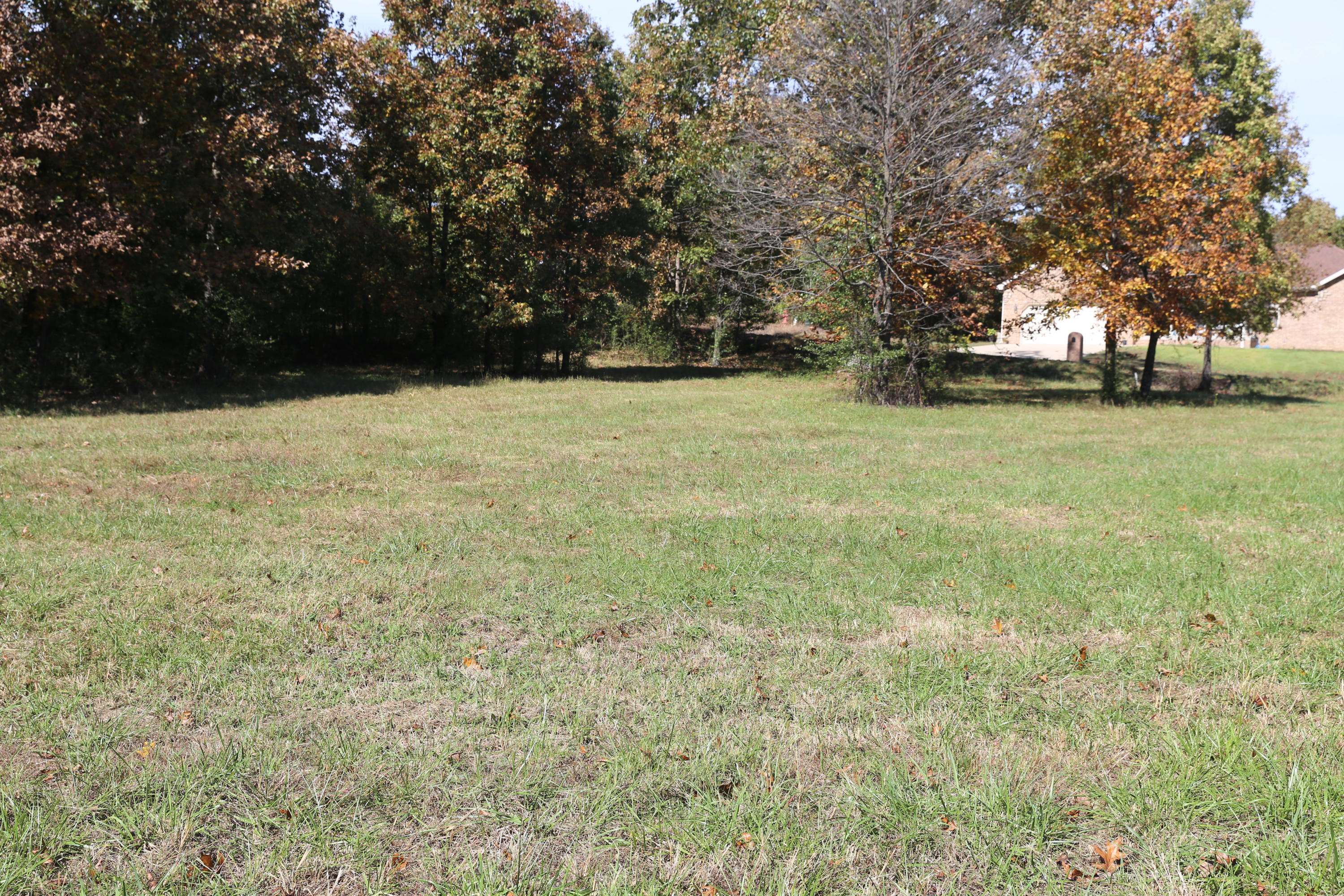 West Plains, MO 65775,000 Wild Turkey Road #Block 1 Lot 2