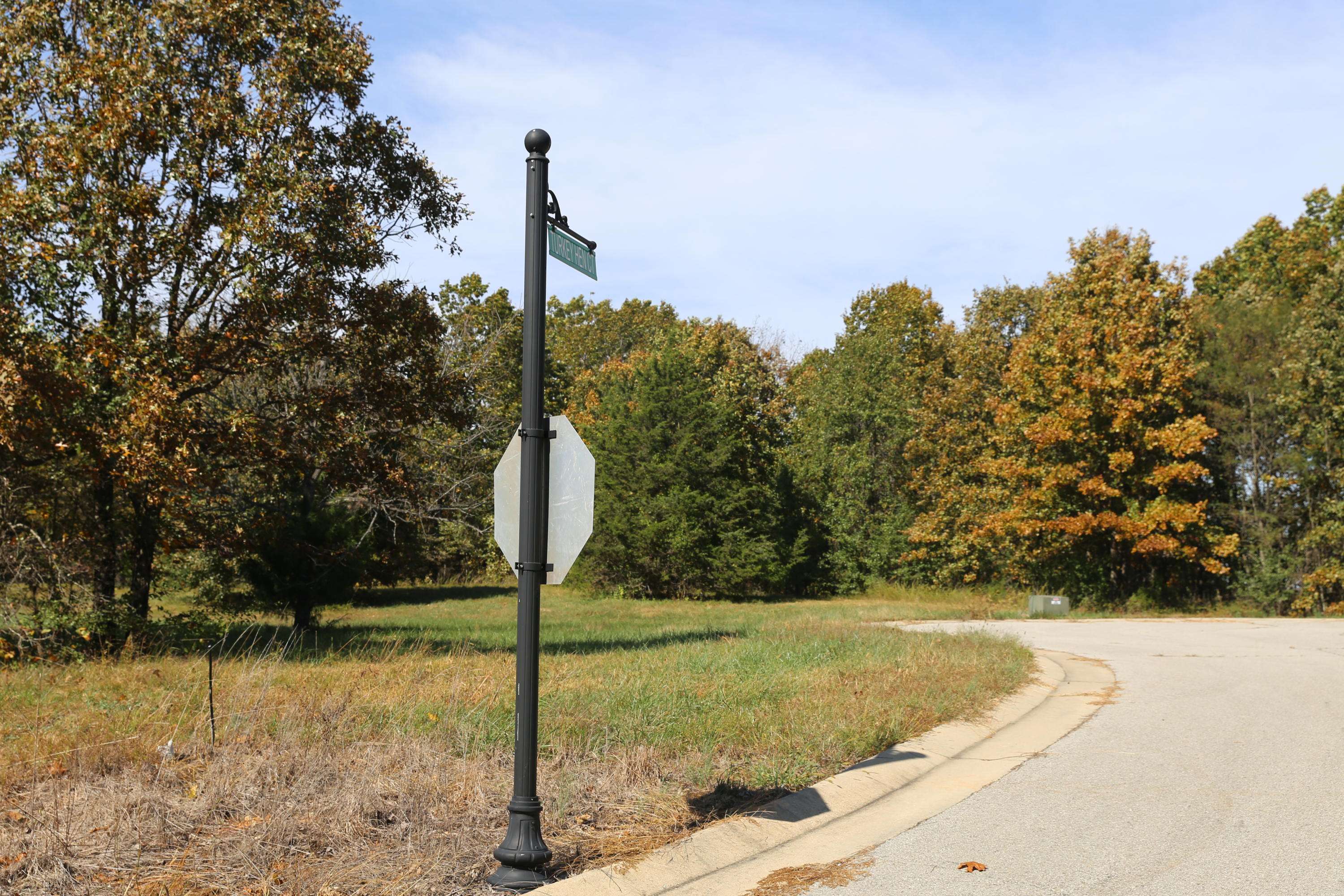 West Plains, MO 65775,000 Wild Turkey #Block 1 Lot 4