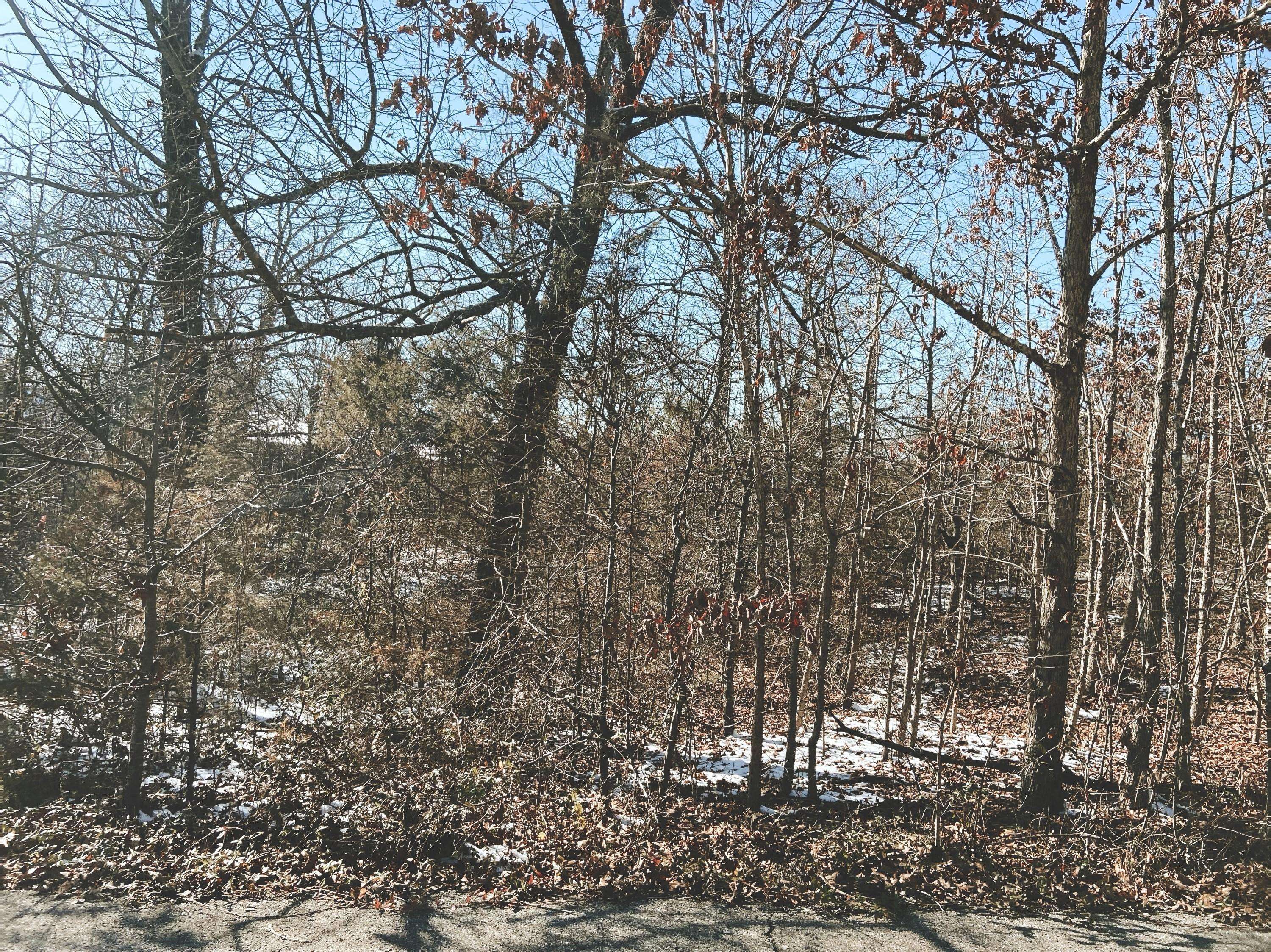 West Plains, MO 65775,000 Mcfarland Drive Lot 13