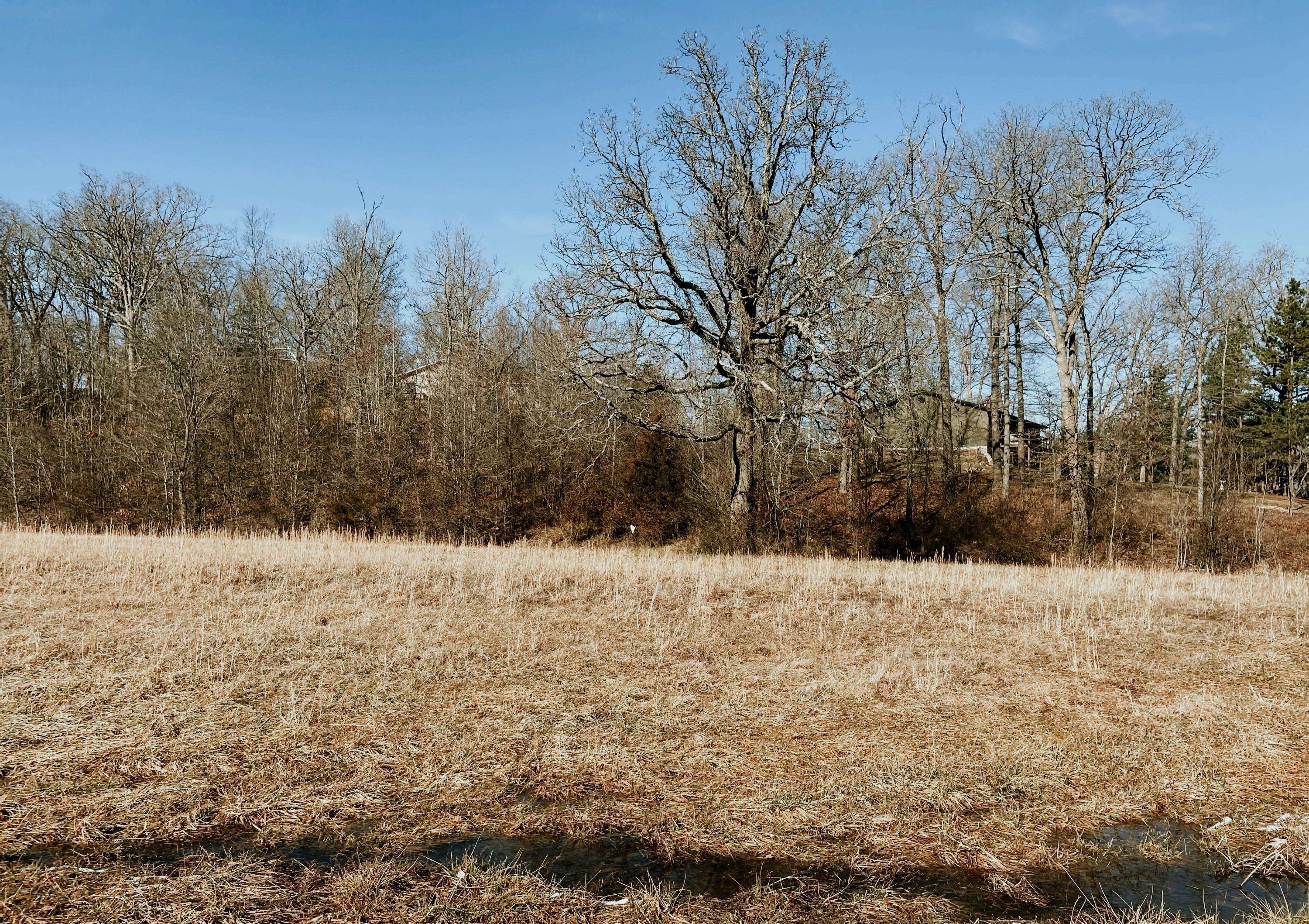 West Plains, MO 65775,000 Lot 2 Block 12 Morrison Sub