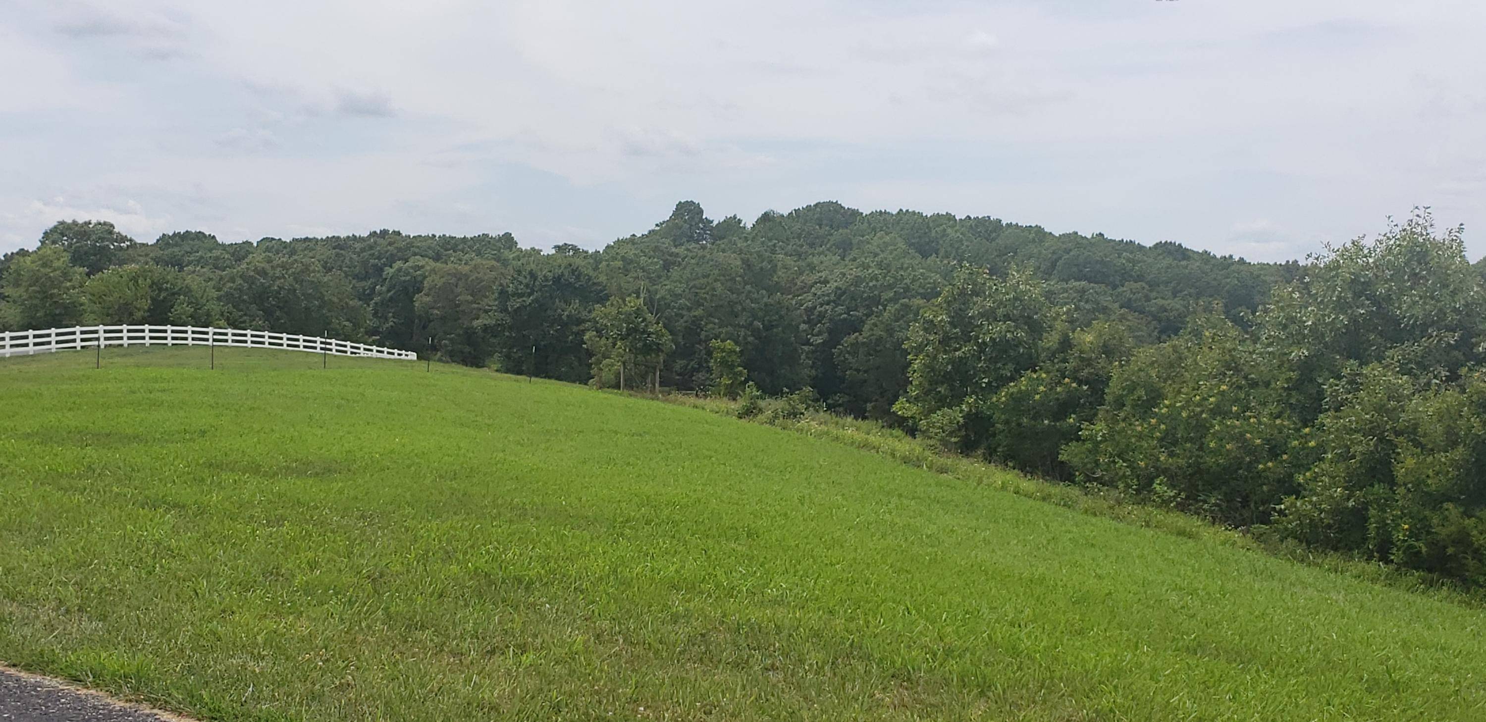 Saddlebrooke, MO 65630,000 Lot 3 Highland DR #Lot 3