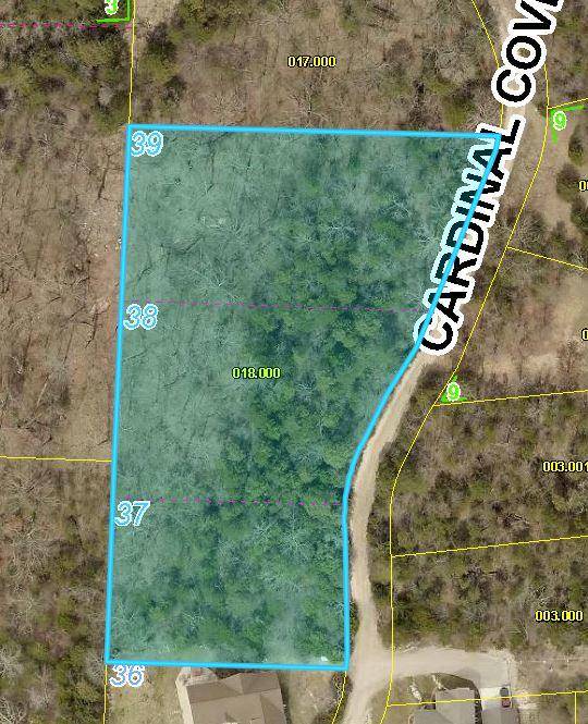 Kimberling City, MO 65686,Lot 37-39 Cardinal Cove LN