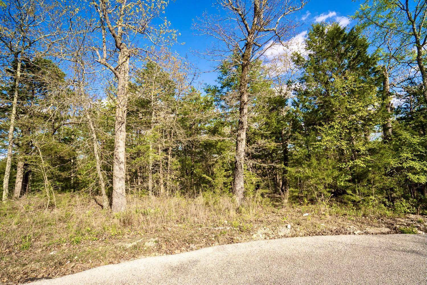 Branson, MO 65616,Lot 10 Huntington DR