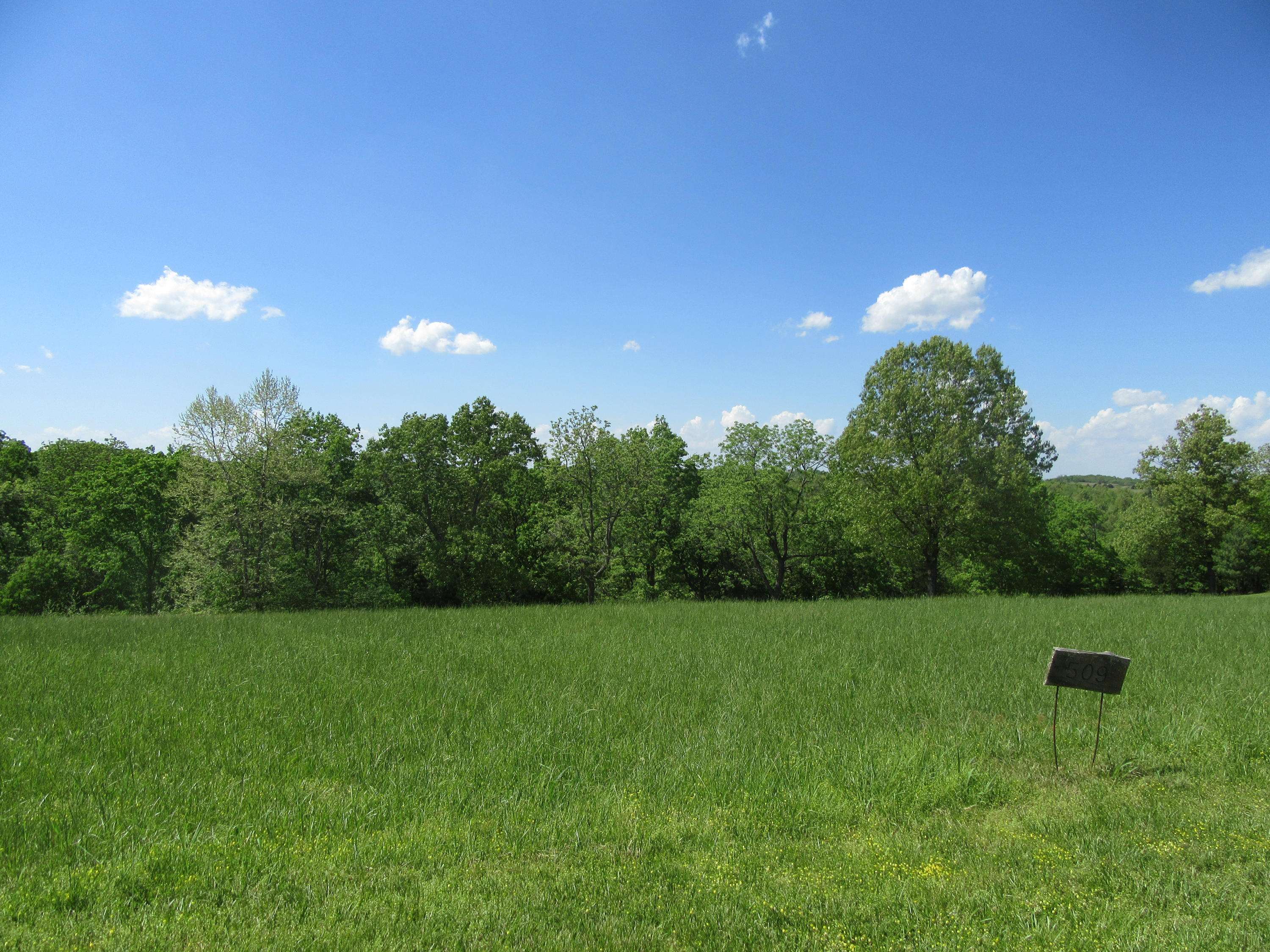 Saddlebrooke, MO 65630,Lot 509 Forest View