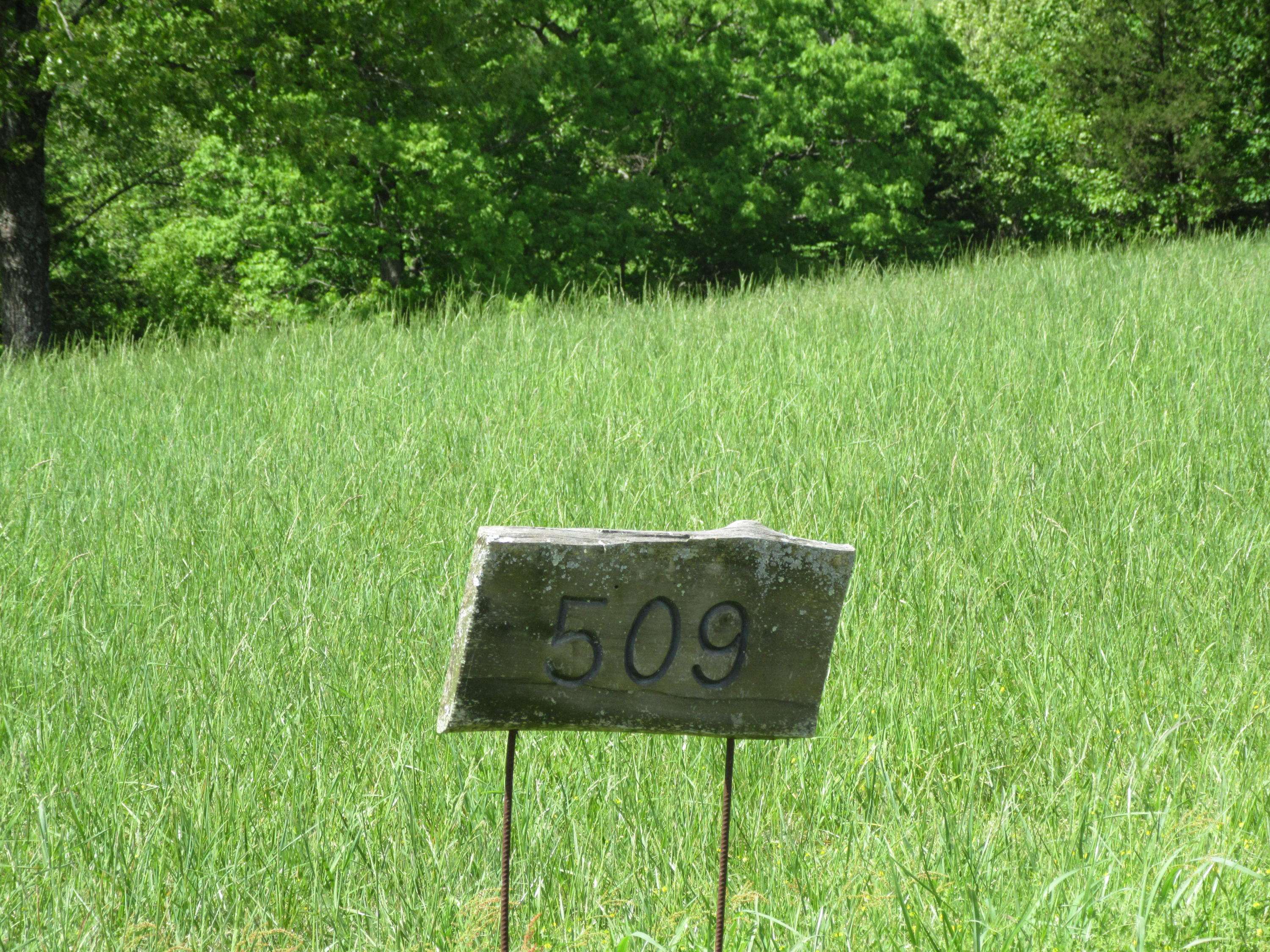 Saddlebrooke, MO 65630,Lot 509 Forest View