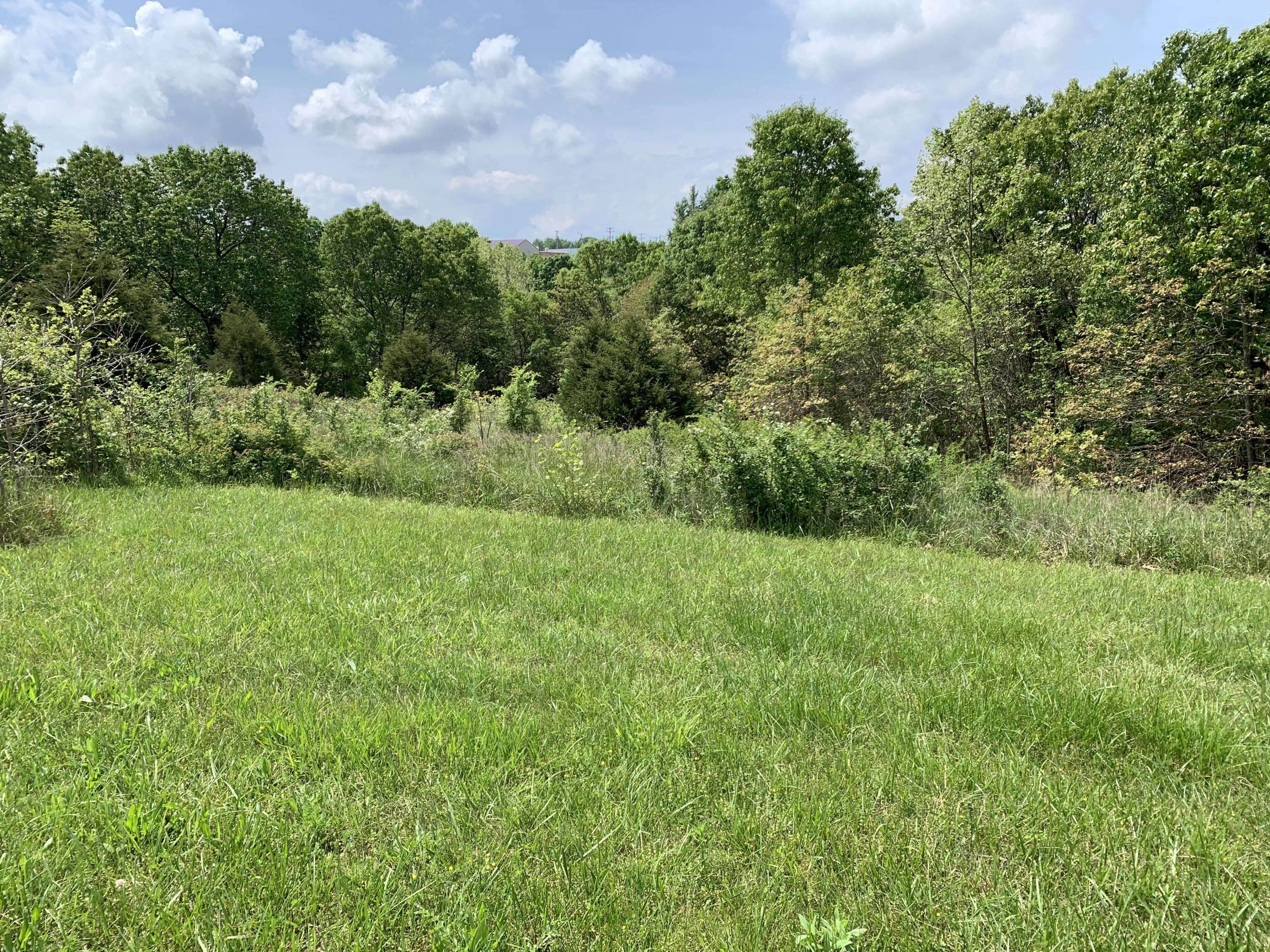 Reeds Spring, MO 65737,Lot 3 Vineyard CT