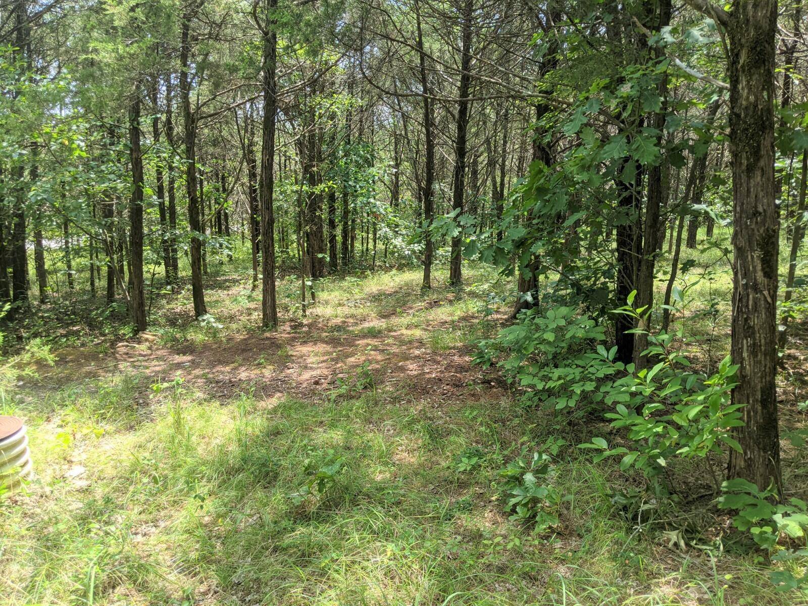 Shell Knob, MO 65747,000 Lot 9 Thunder Eagles WAY